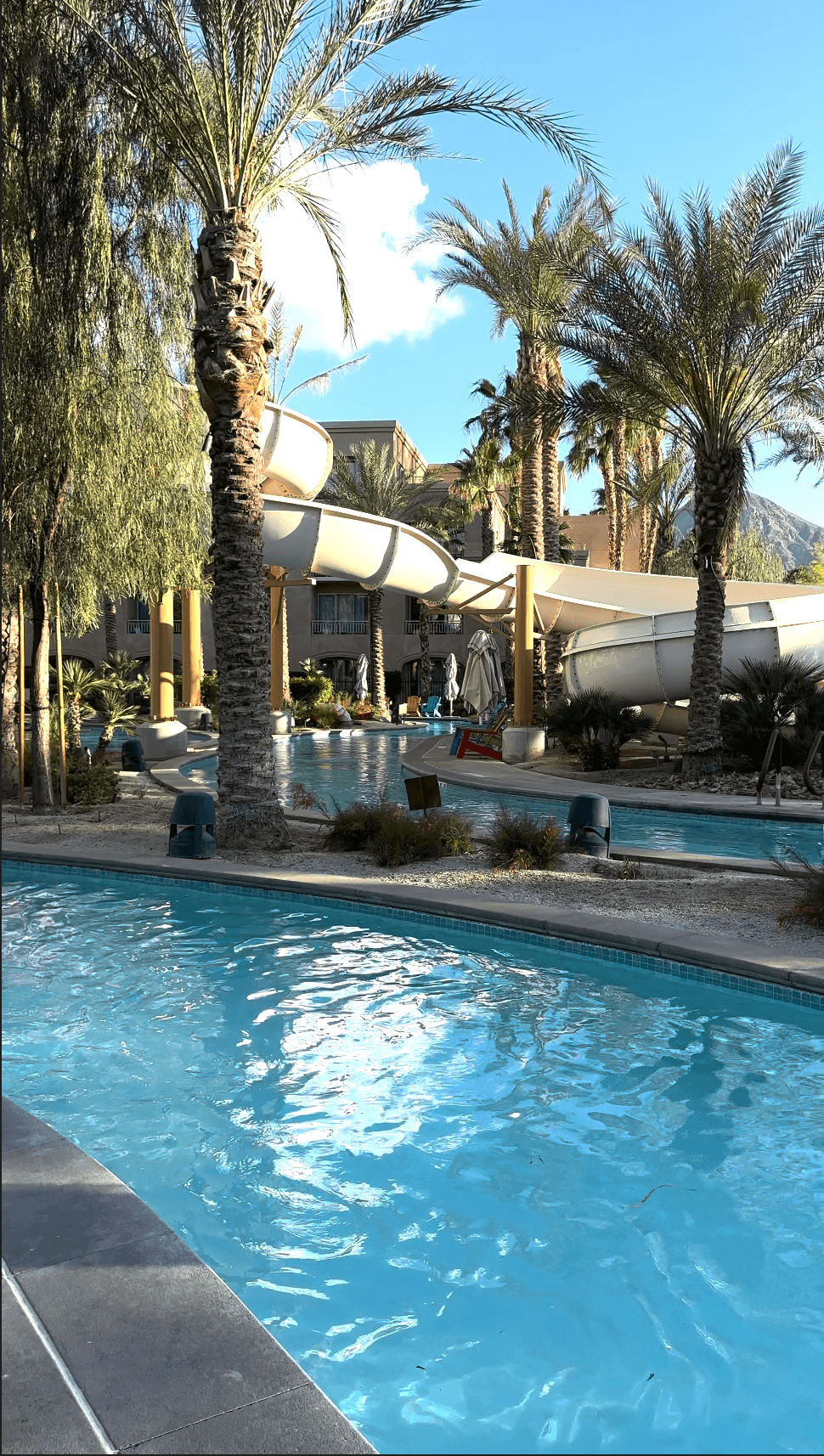 A pool area with palm trees during the daytime