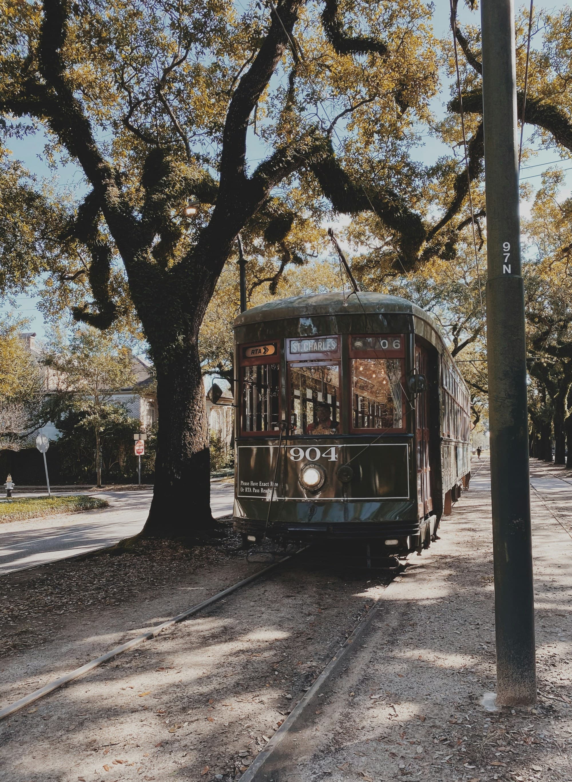Dark green bus in motion under a tree close to the Higgins Hotel, New Orleans