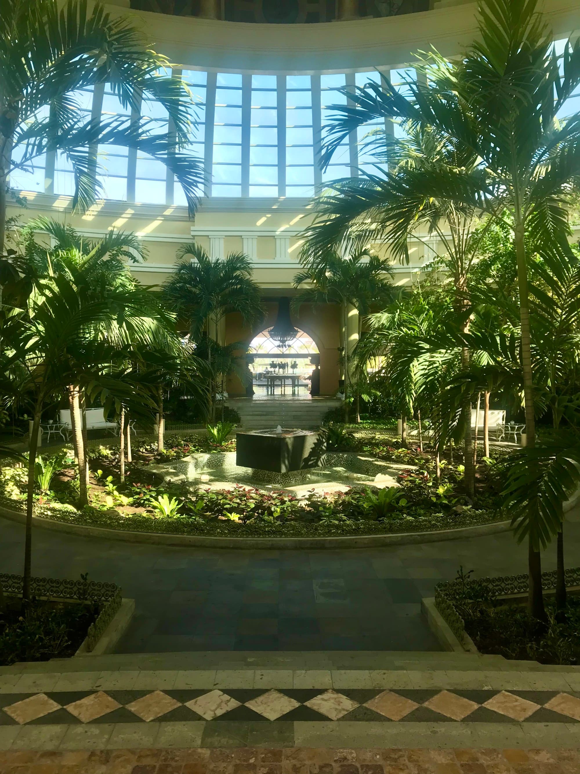 An indoor plant atrium