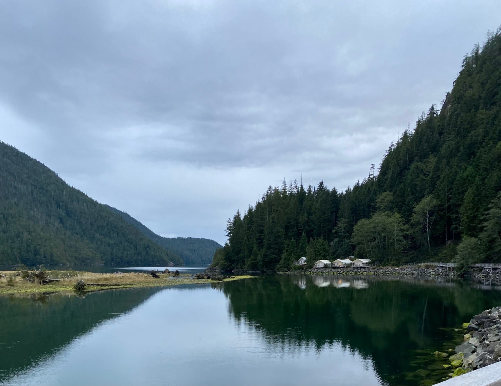 A view of a calm lake reflecting large pine trees, a mountain and white tents set up on a rocky shore.