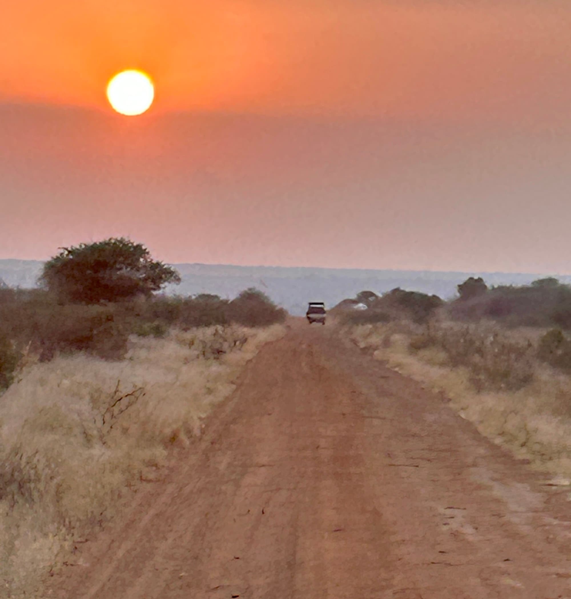 Sky and sunset in safari