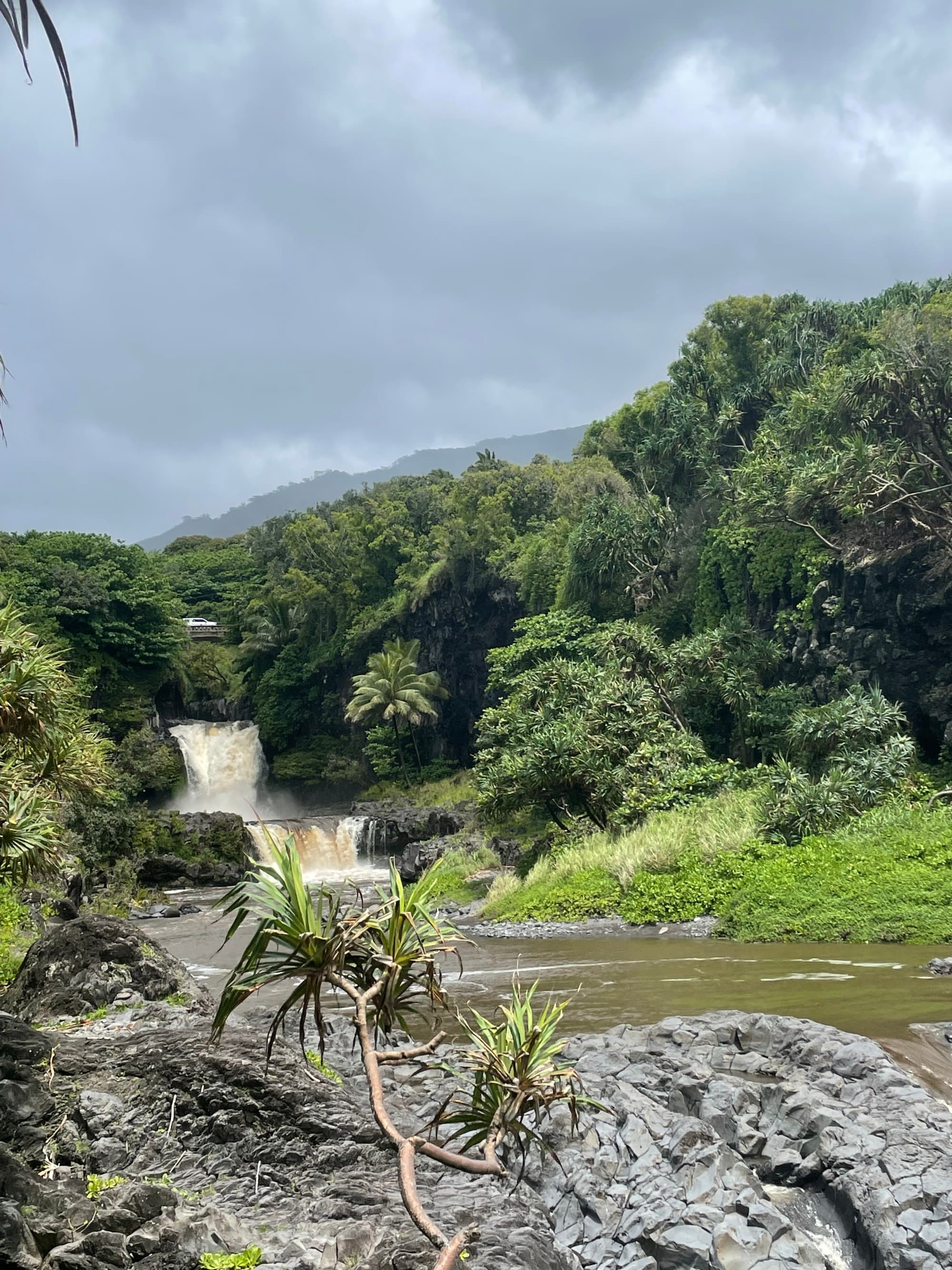 Falls Road to Hana - Brittany Abeyta