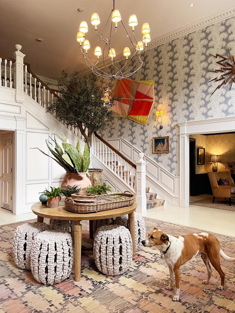 pet friendly common room