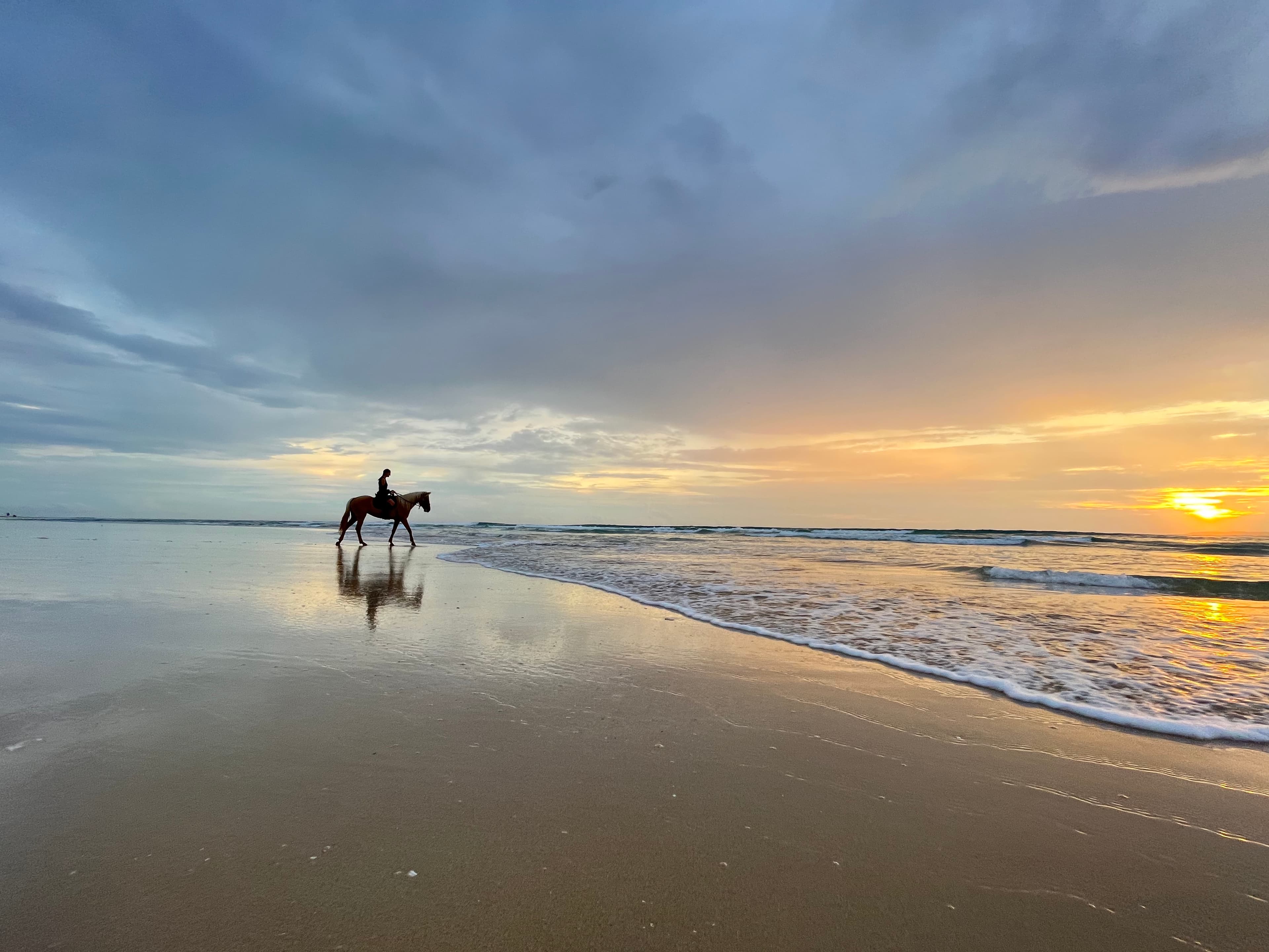 A silhouette of a person riding a horse on a beach at sunset.