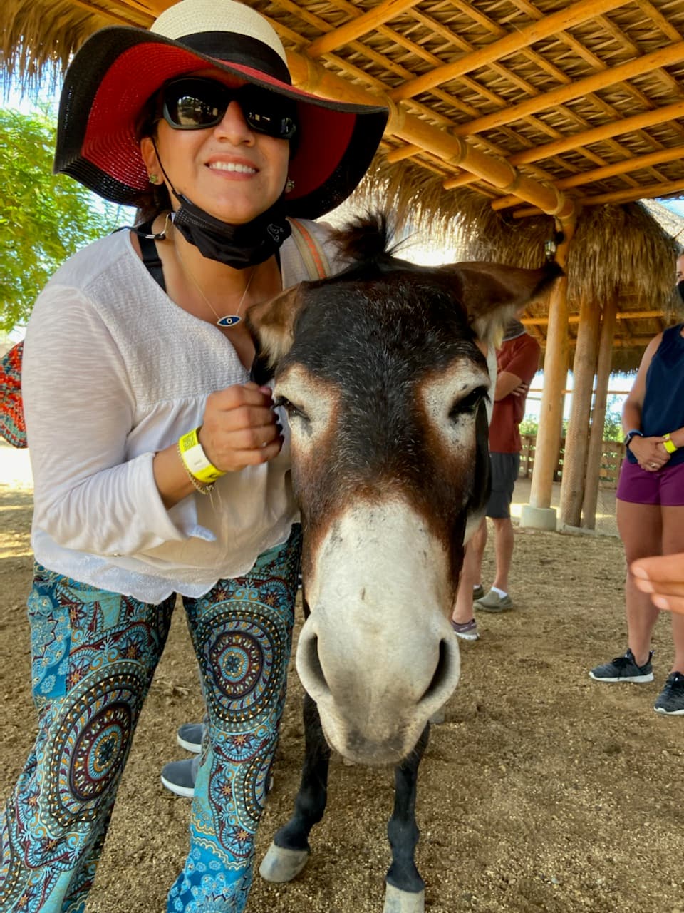 Travel advisor Lisa petting a brown and white donkey