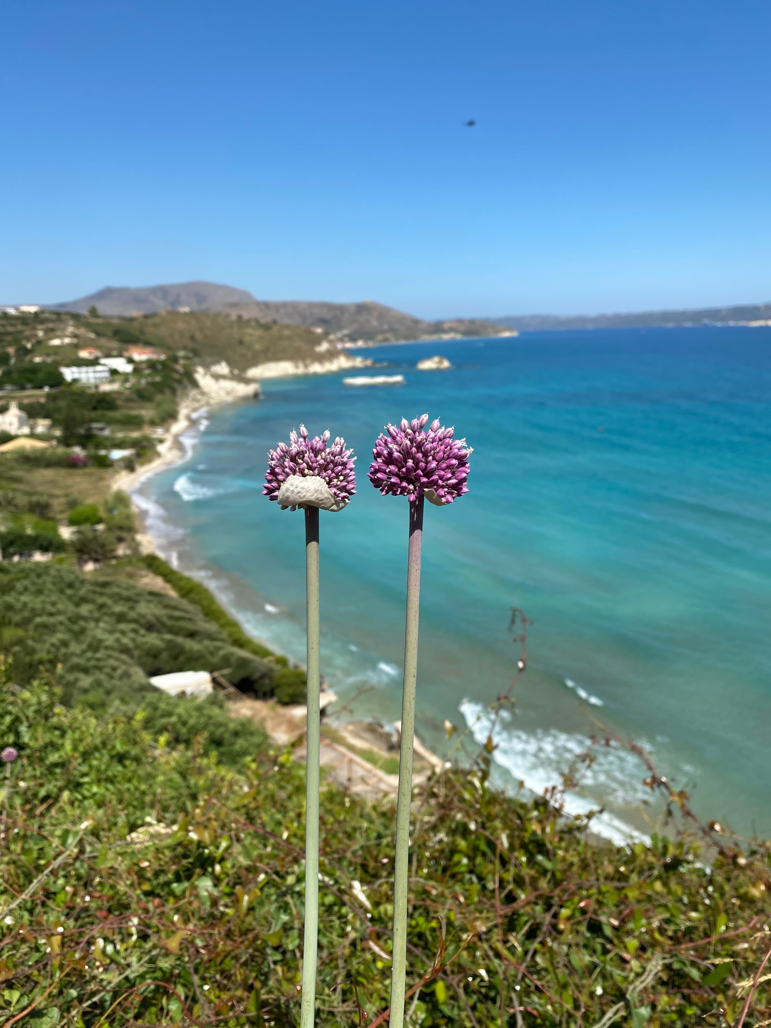 Beautiful view of sea