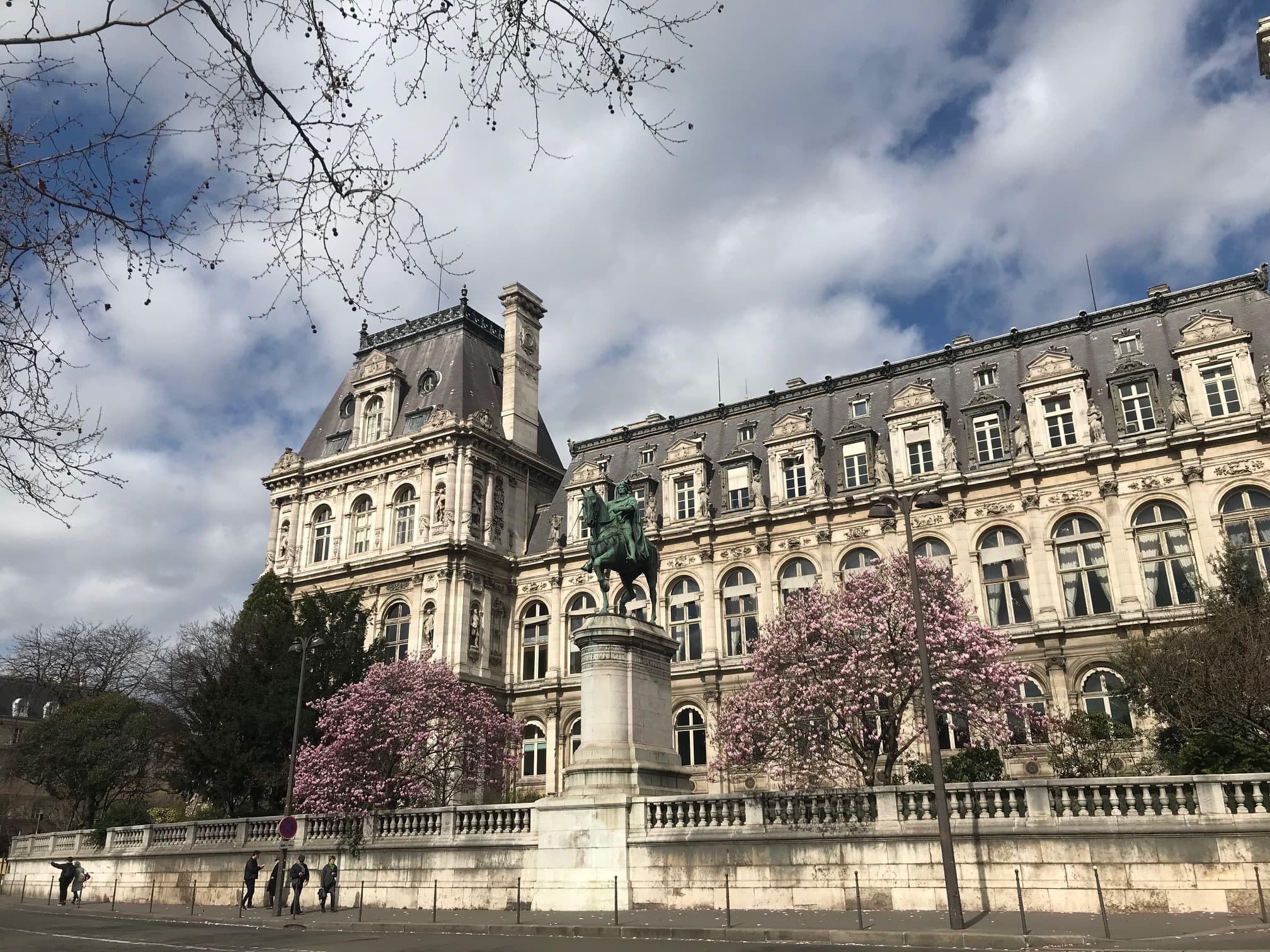 View of beautiful Hôtel de Ville with pink cherry blossom tree outside