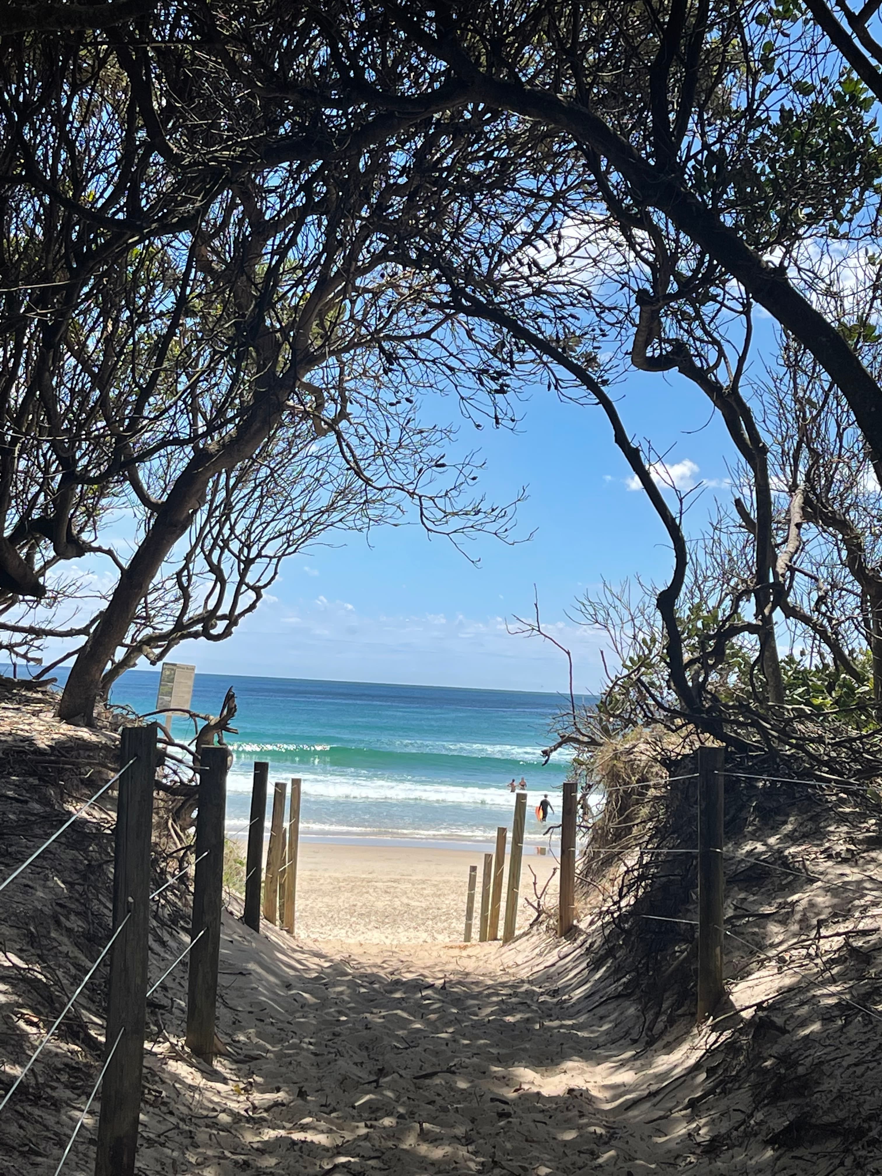 Path leading to the beach