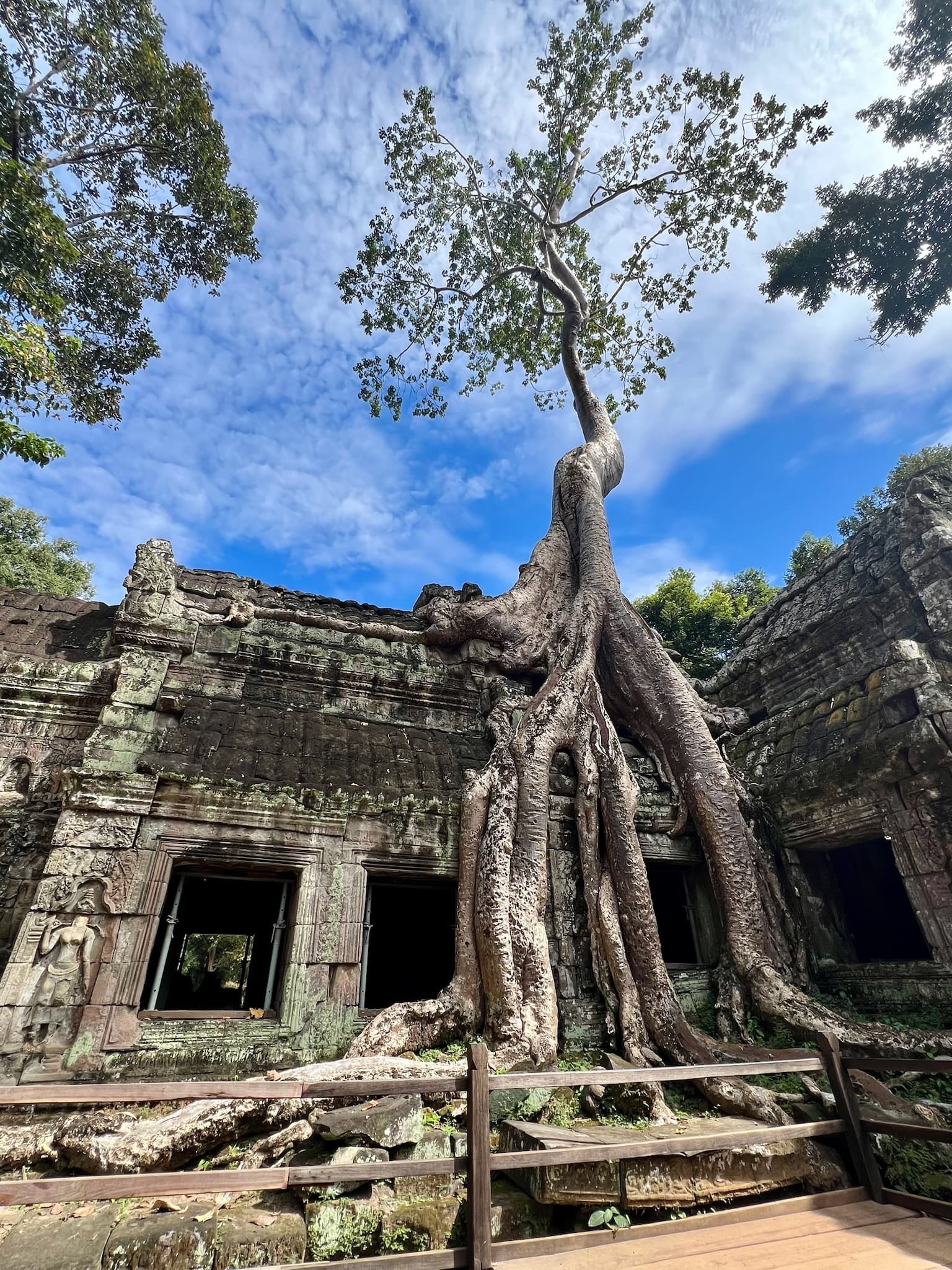Picture of Ta Prohm Temple