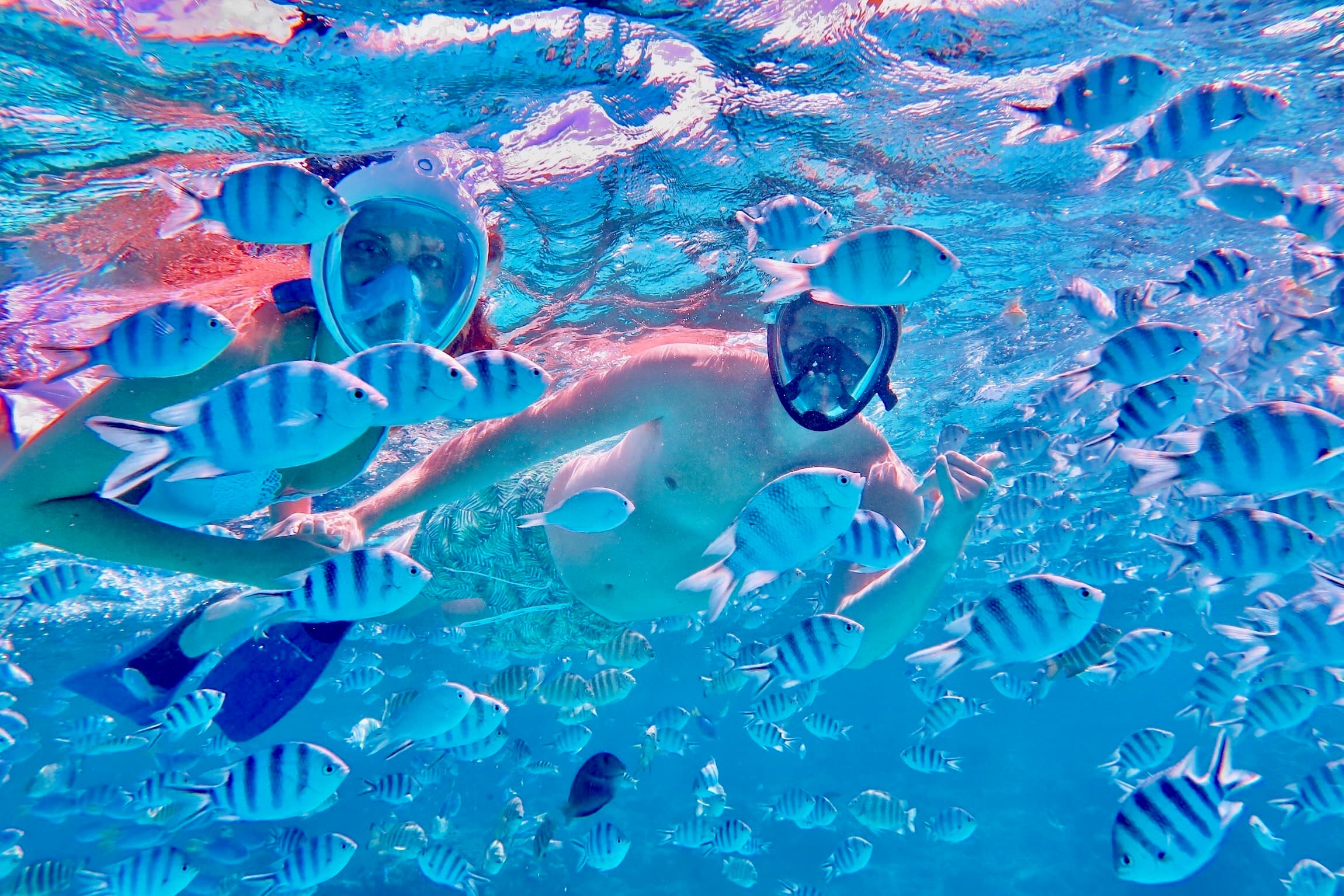 Picture of Carly in water with fish