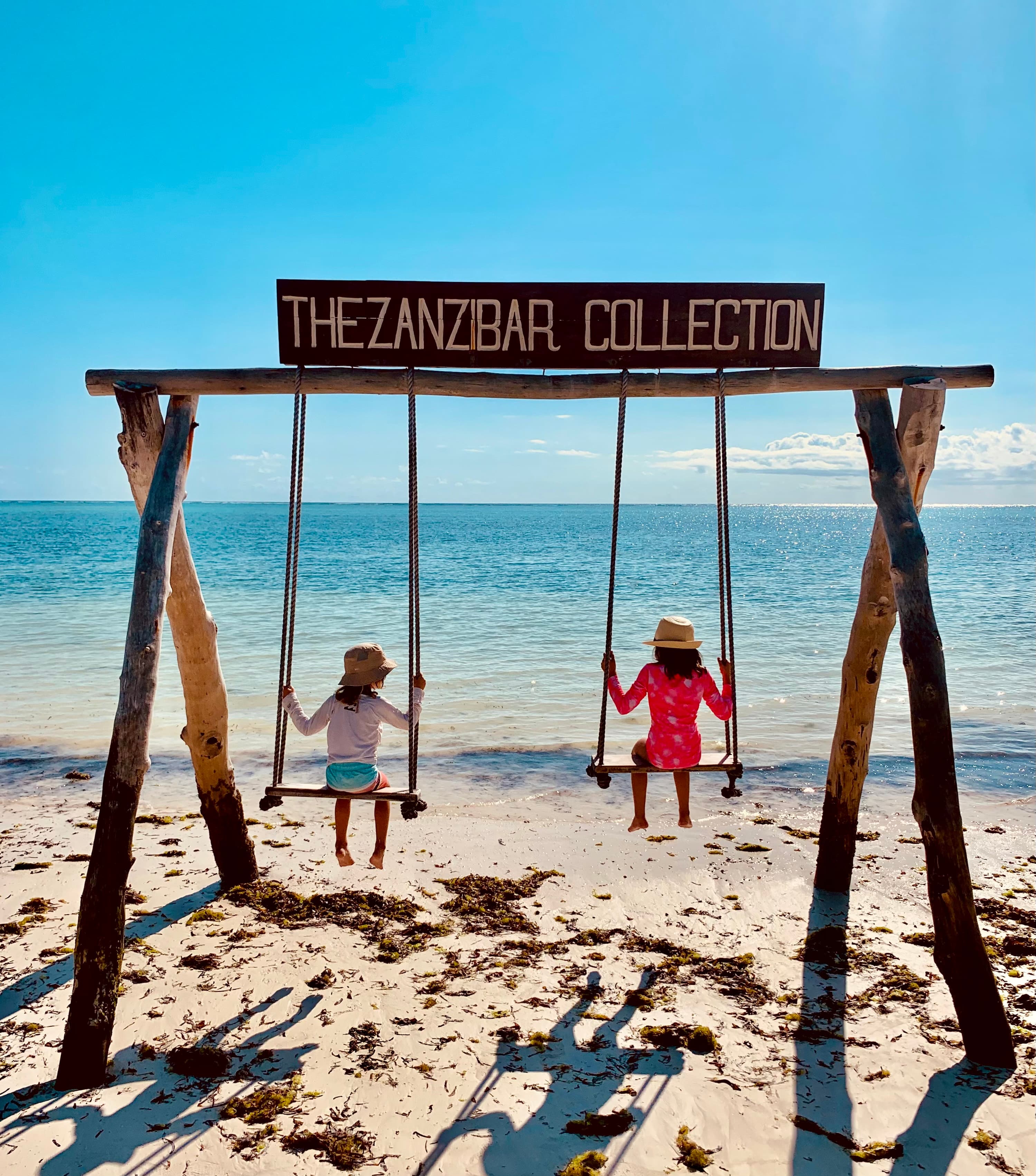 Children on a swing at the beach.