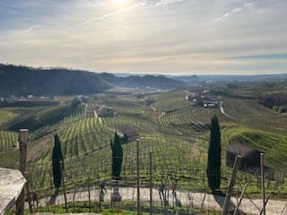 Beautiful view of the fields