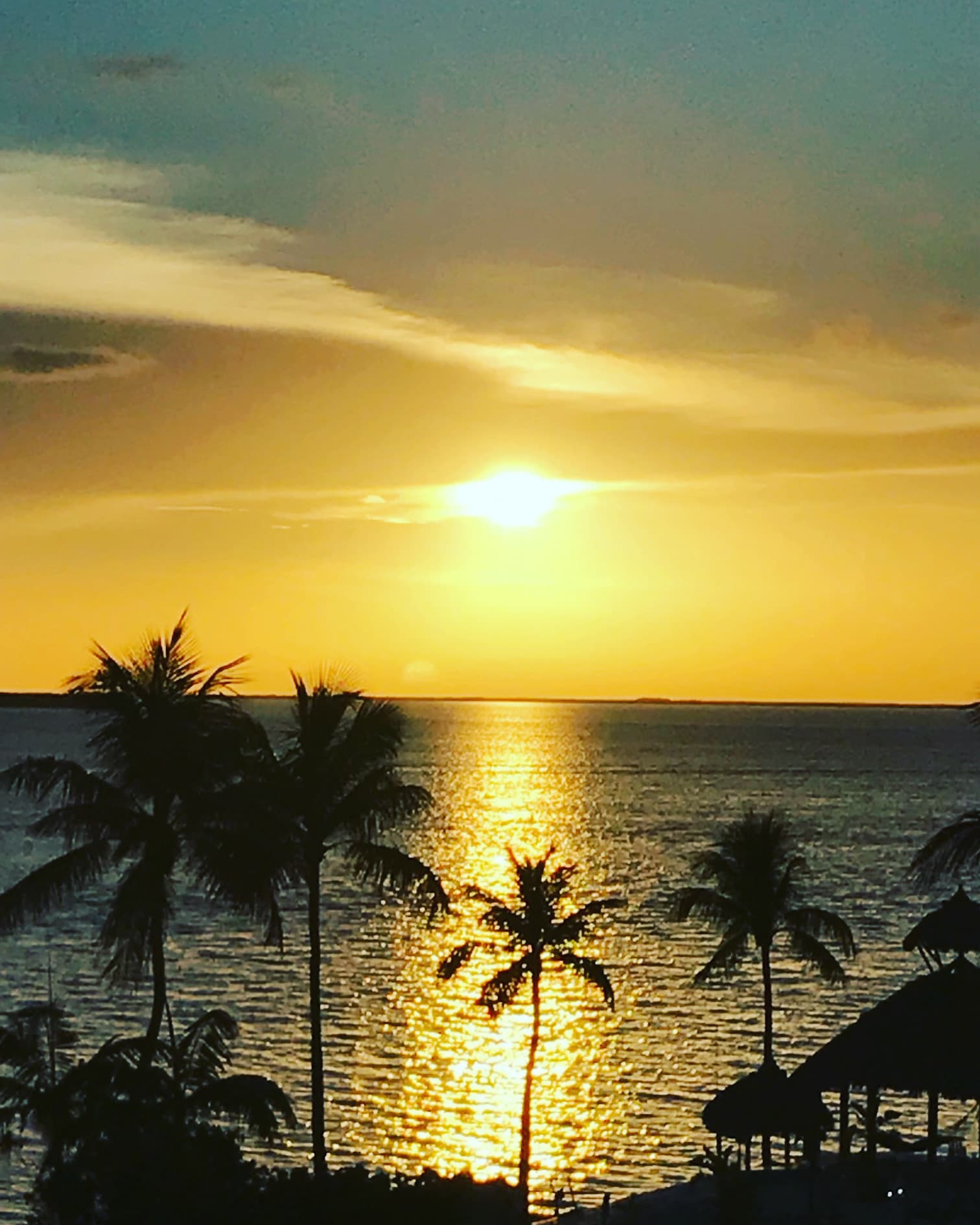 Beautiful view of the sunset