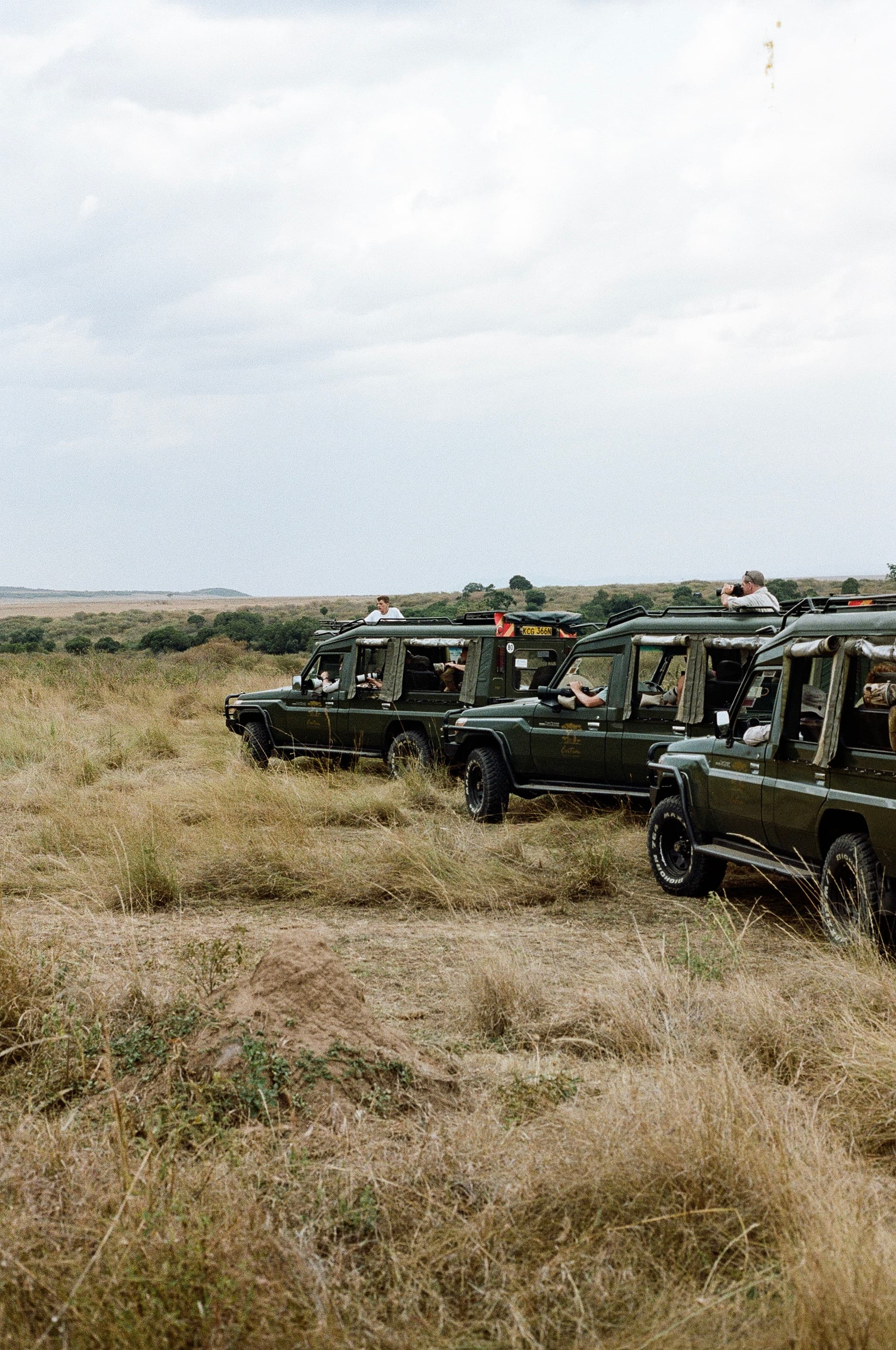 People in jeeps for a safari tour
