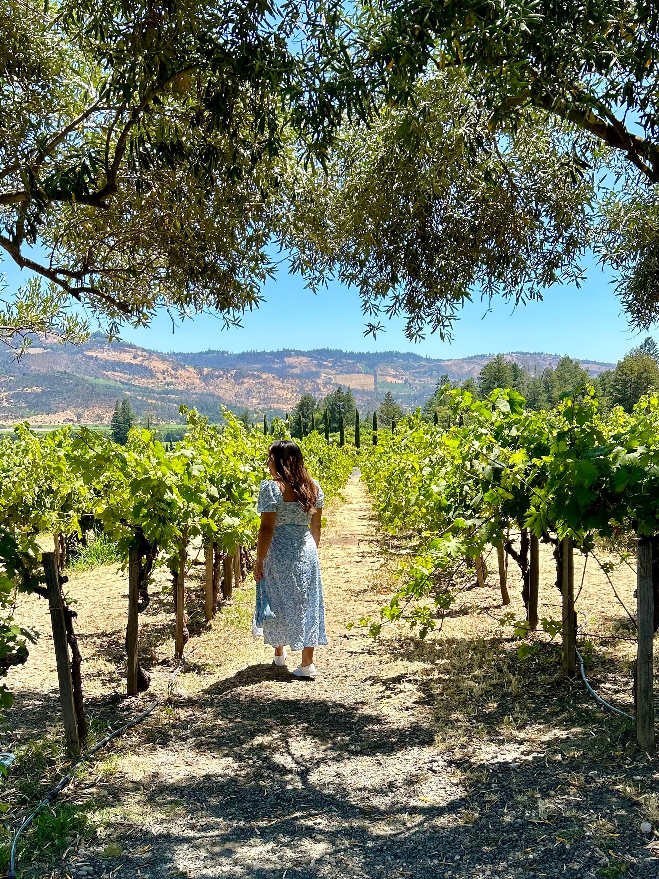 Picture of Amanda walking in vineyard