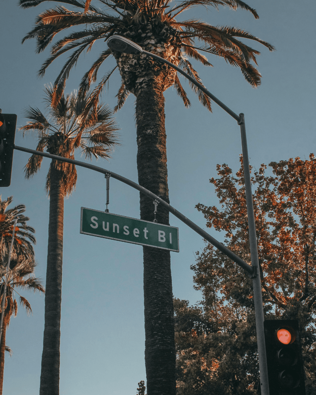 A Local's Guide to West Hollywood curated by Tay Lipman