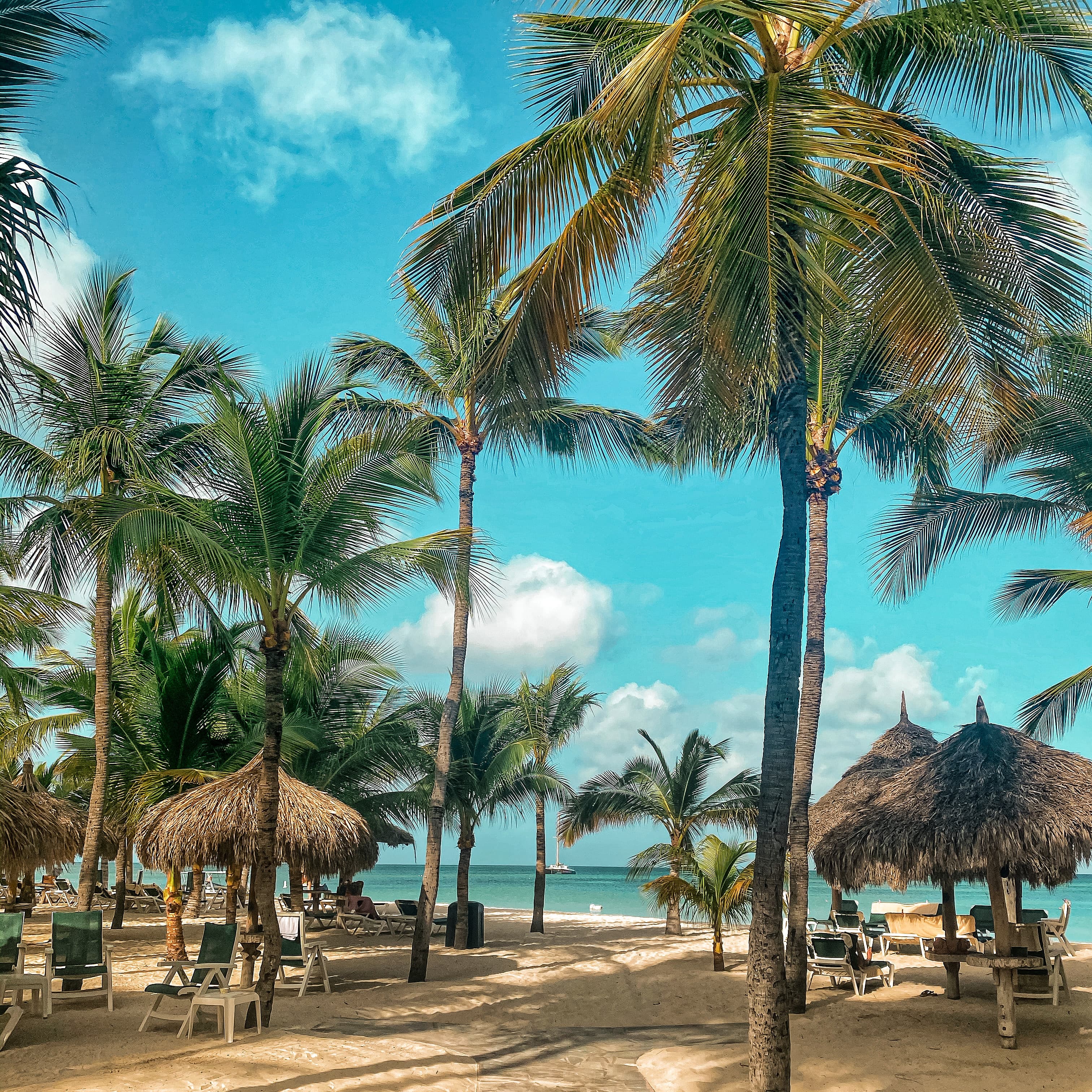 The Ultimate Guide to One Happy Island: Aruba curated by Rachel Phillips