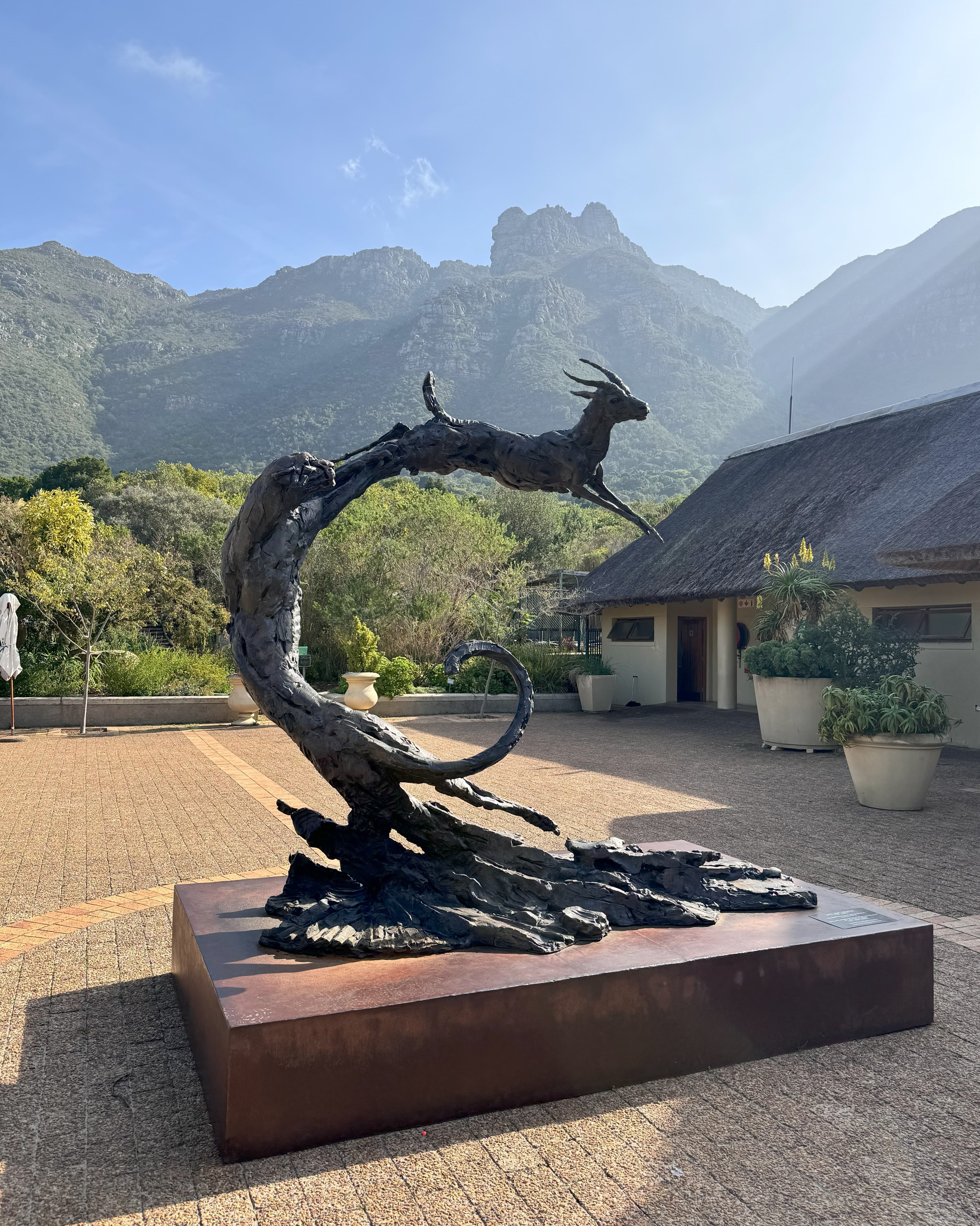 Cape Town in 6 Days curated by Audra Thomas