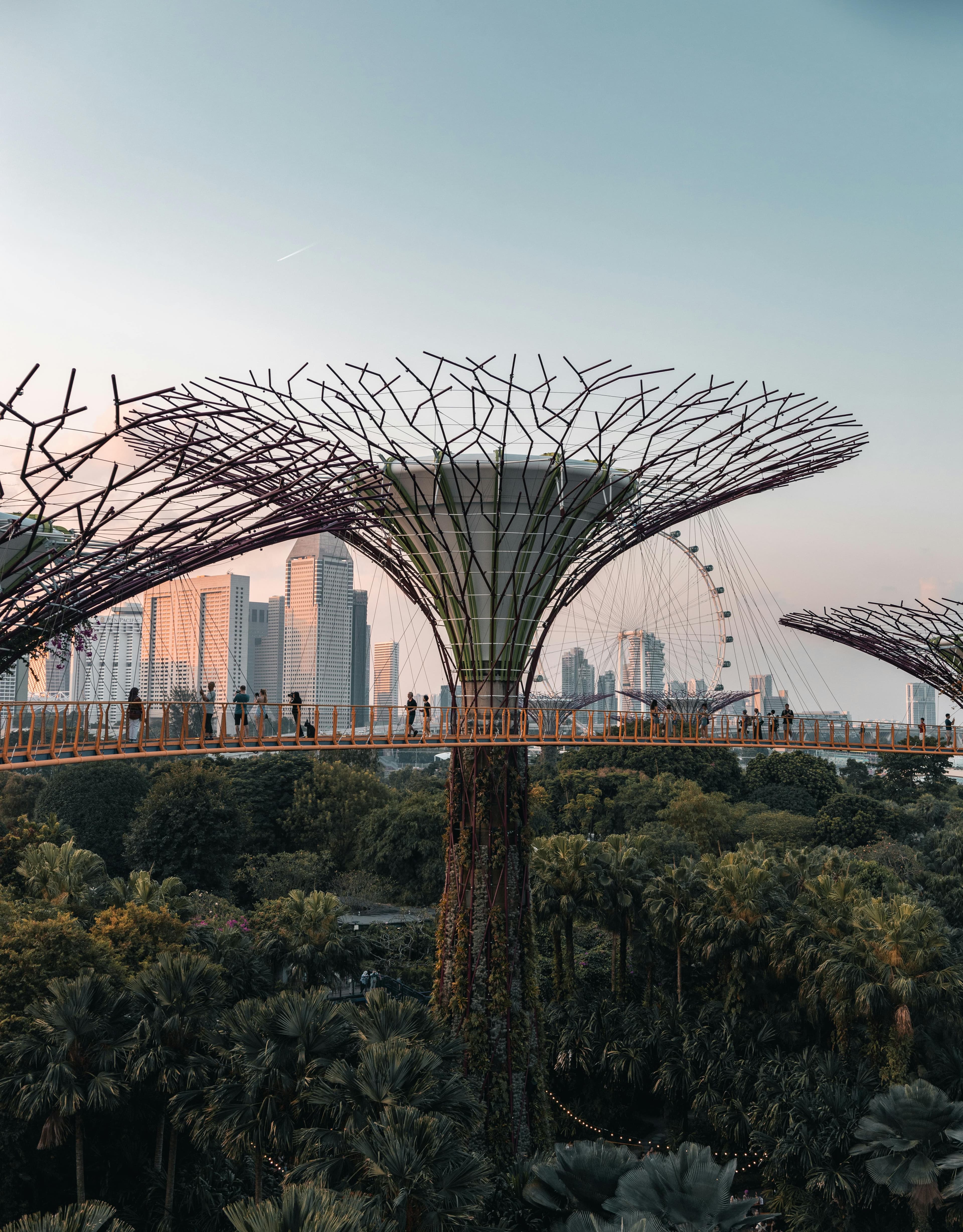 An Insider's Guide to Singapore curated by Al Tan