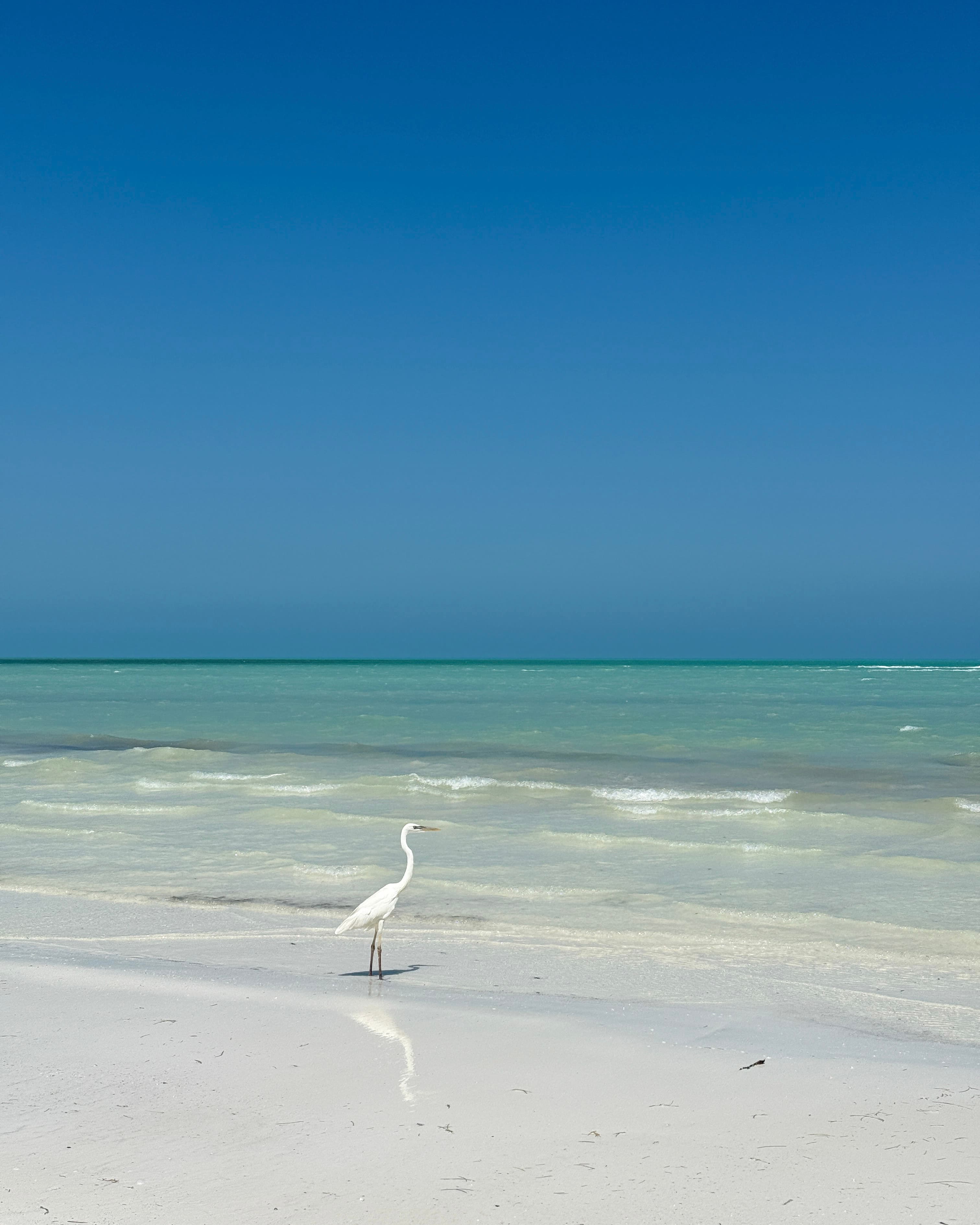 Where to Eat, Stay and Play in Holbox curated by Michelle Cassidy