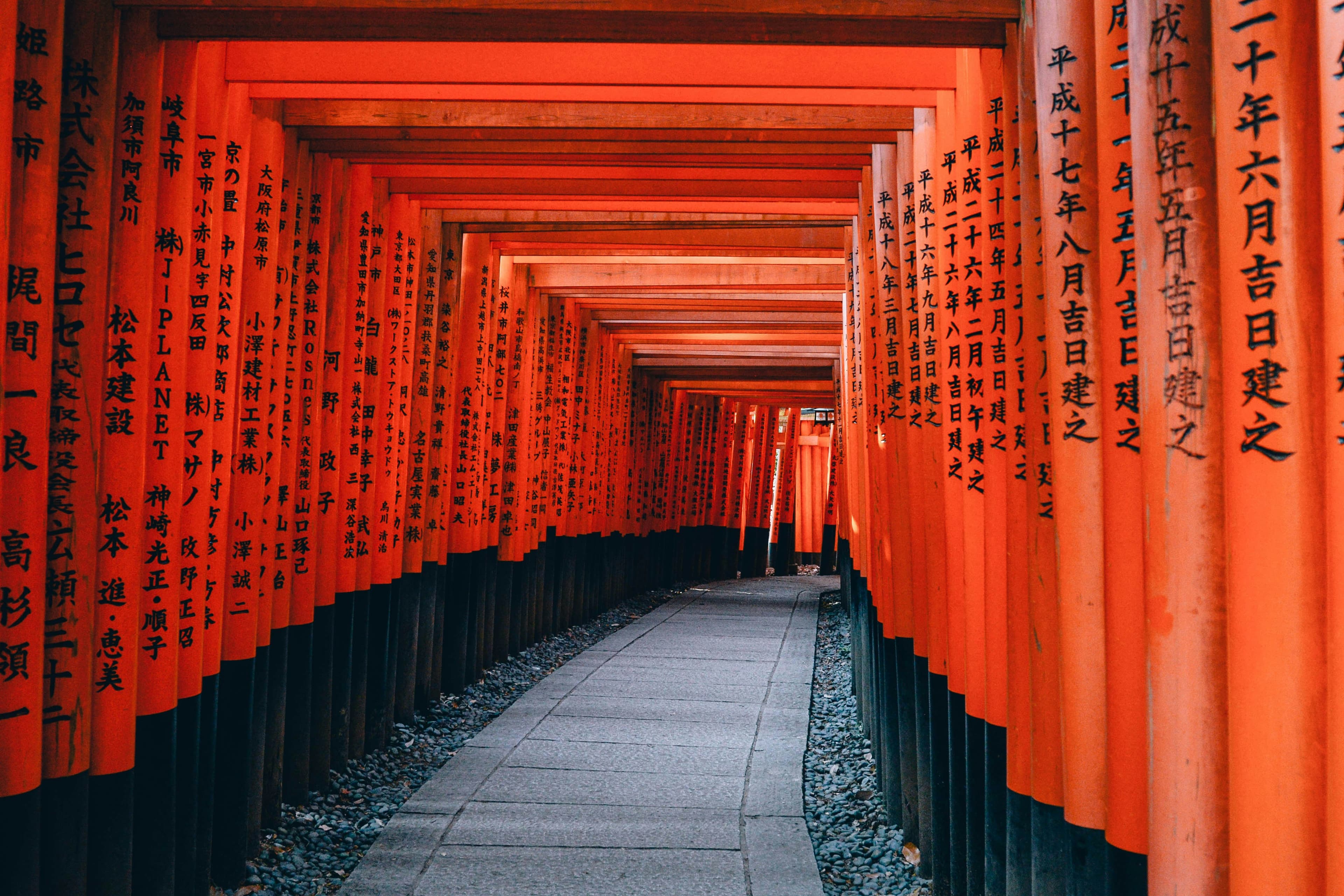 From Tokyo to Kyoto: A Honeymoon Steeped in Flavor & Romance curated by Rachel C Levy