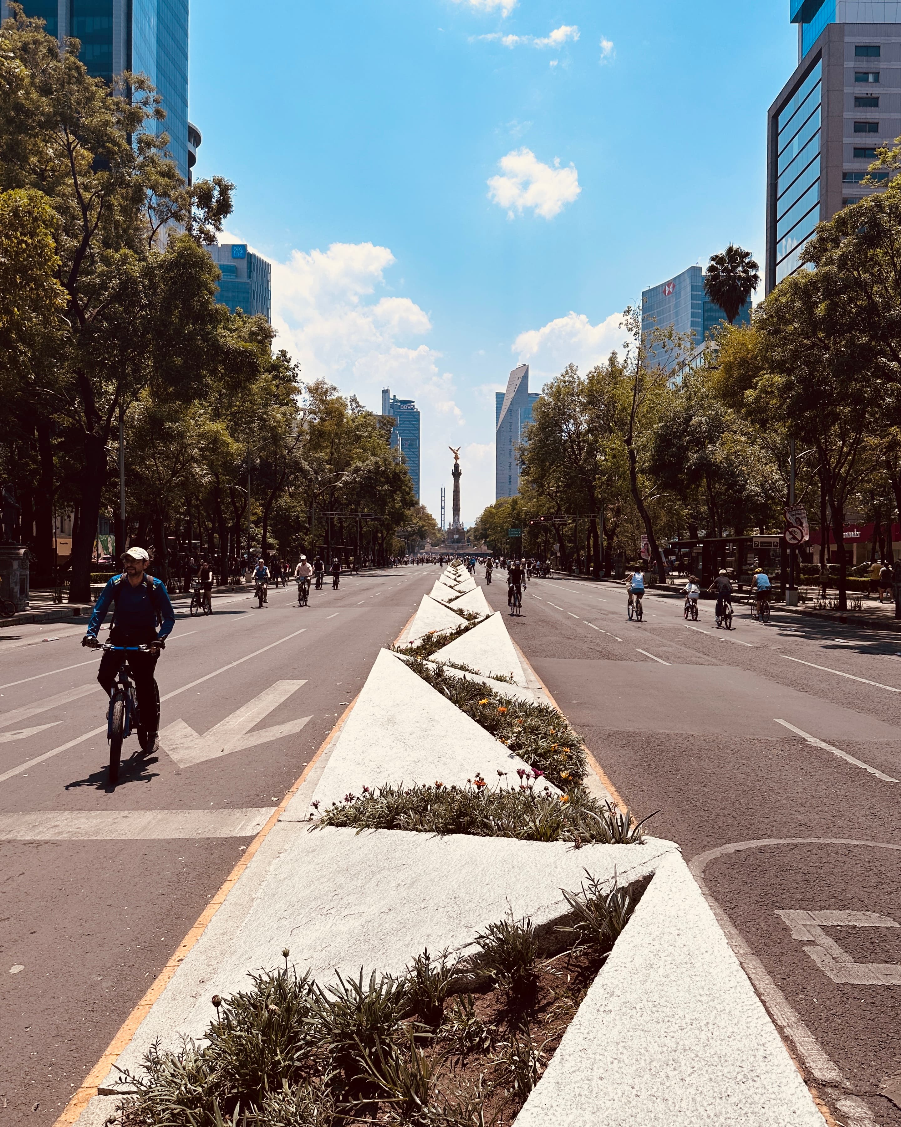 How to Spend the Best Week in Mexico City curated by Stephanie Jones