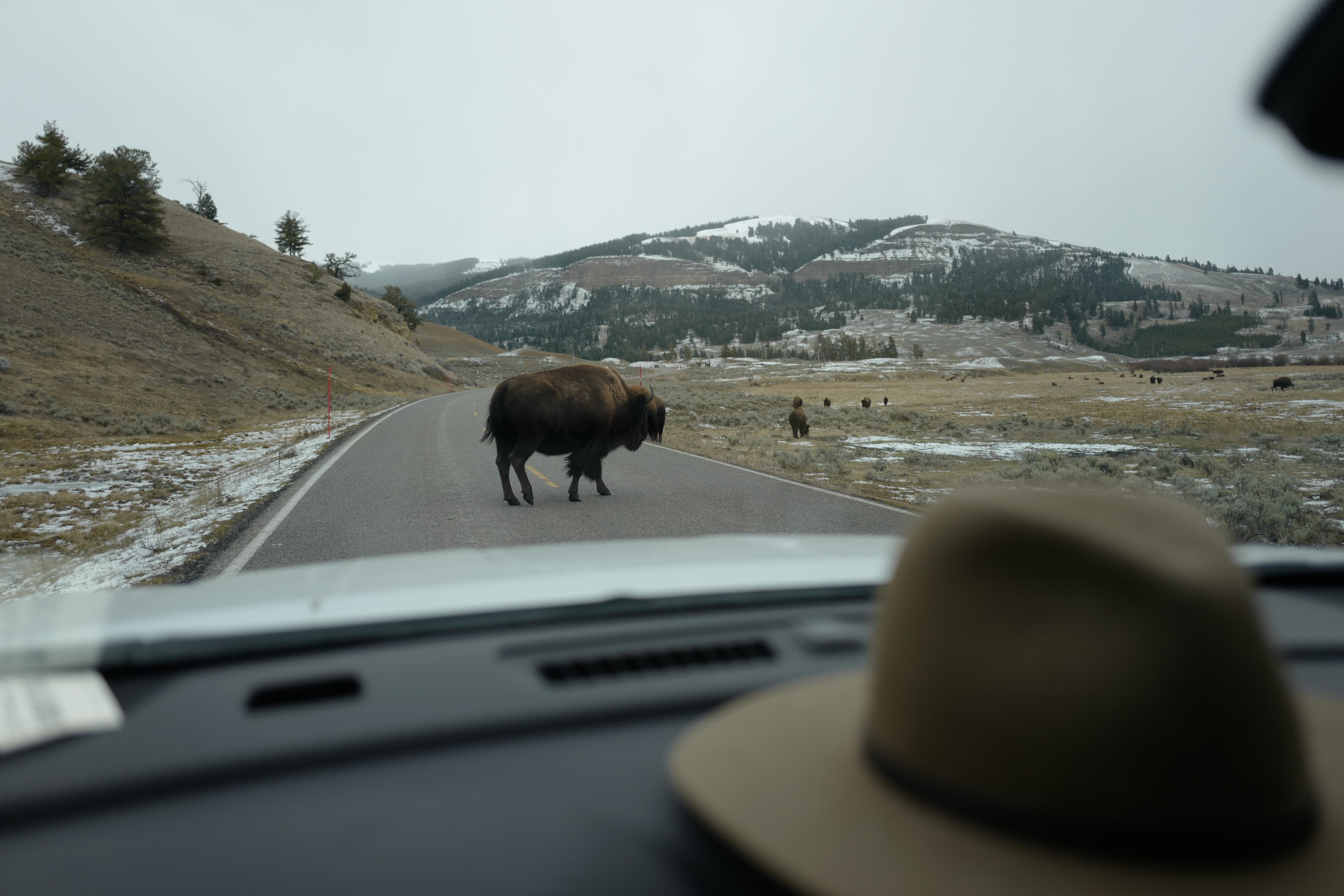 Saddle Up in Style: Curated Stays in the American Mountain West curated by Daphne Lin