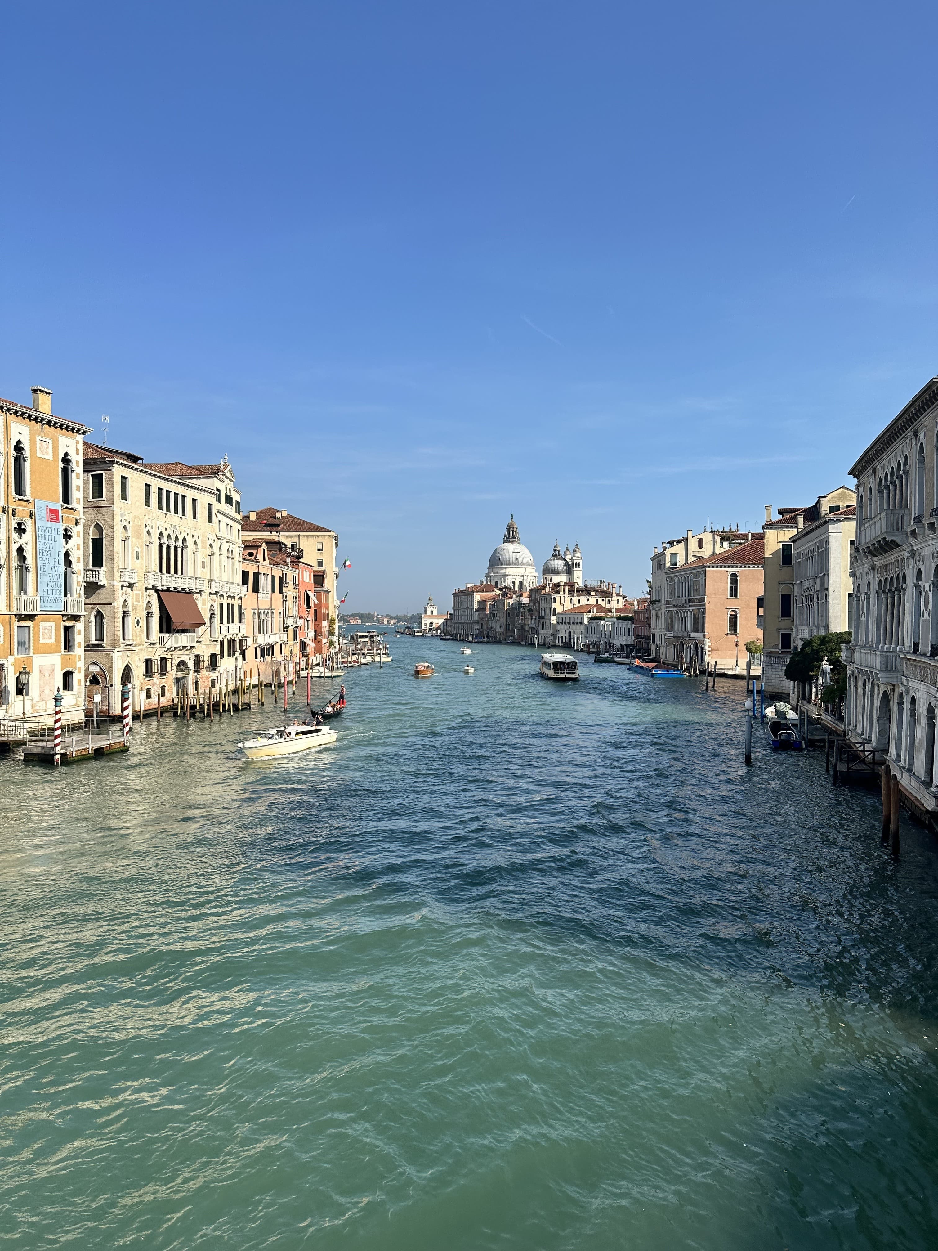 Exploring in Venice curated by Jacob Bryant