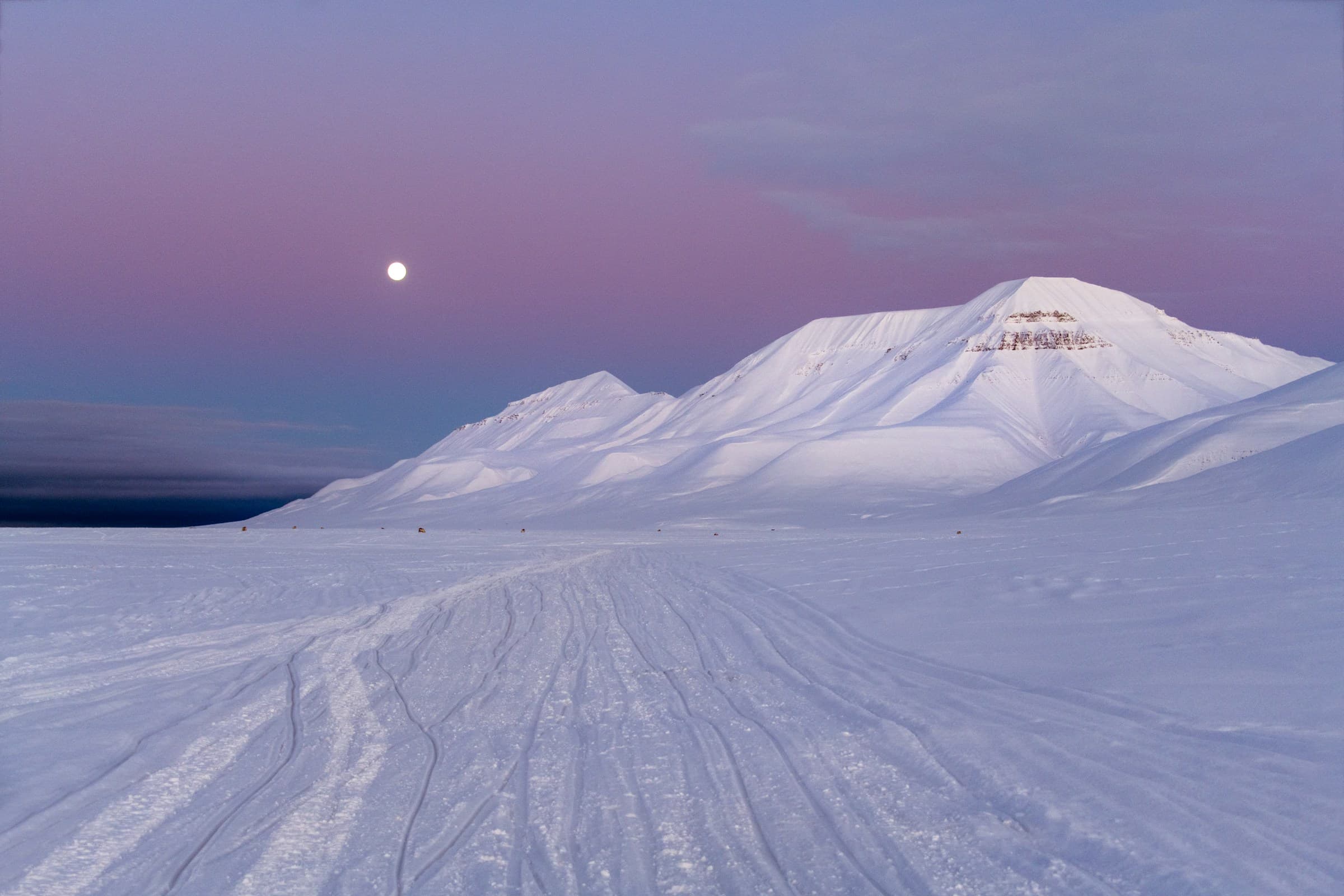 A Week at the Top of the World: The Ultimate Guide to Svalbard, Norway curated by Nathalie Lüttgens