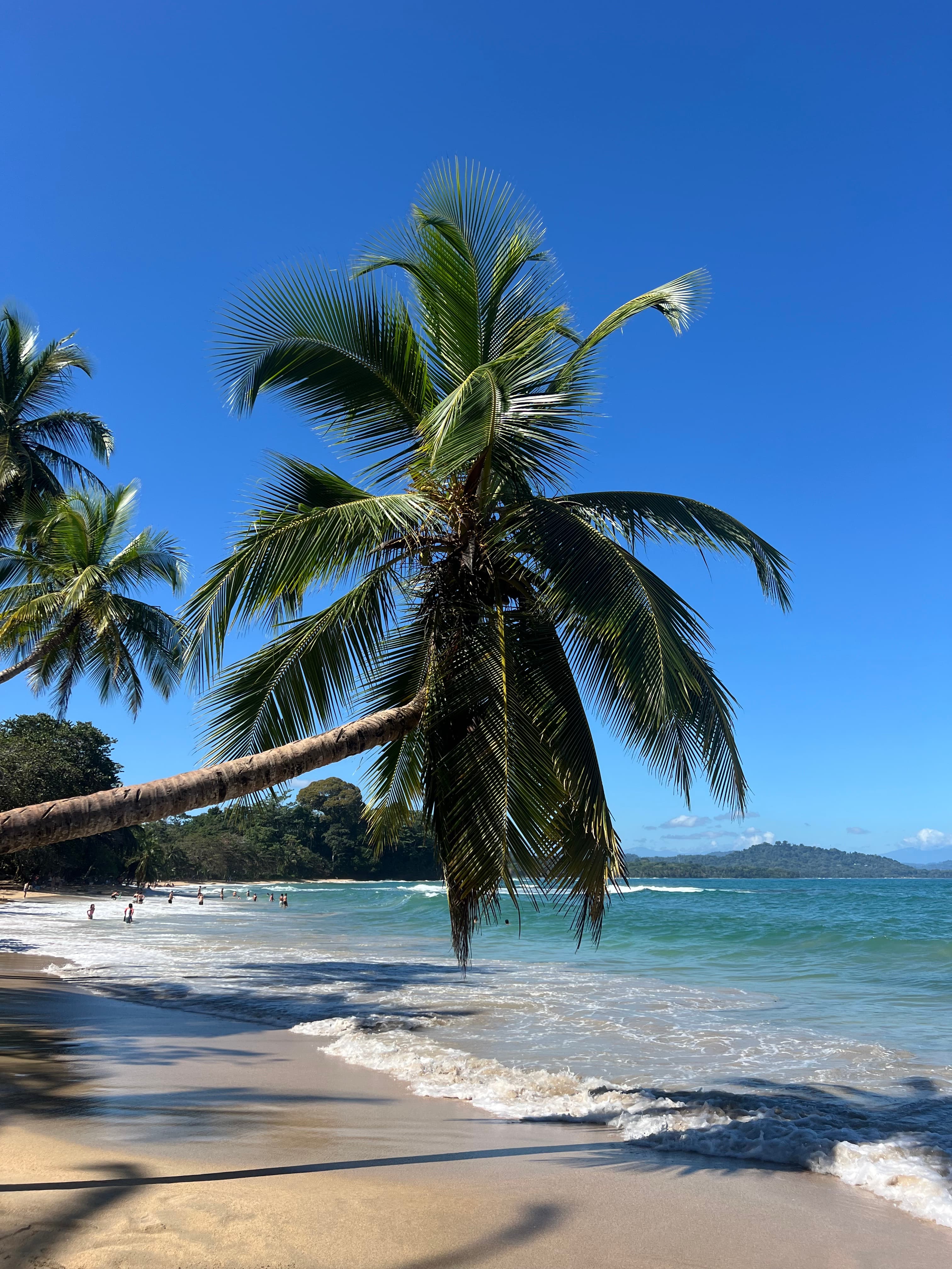 Puerto Viejo: Discover Costa Rica’s Hidden Caribbean Gem curated by Hallie Riswold
