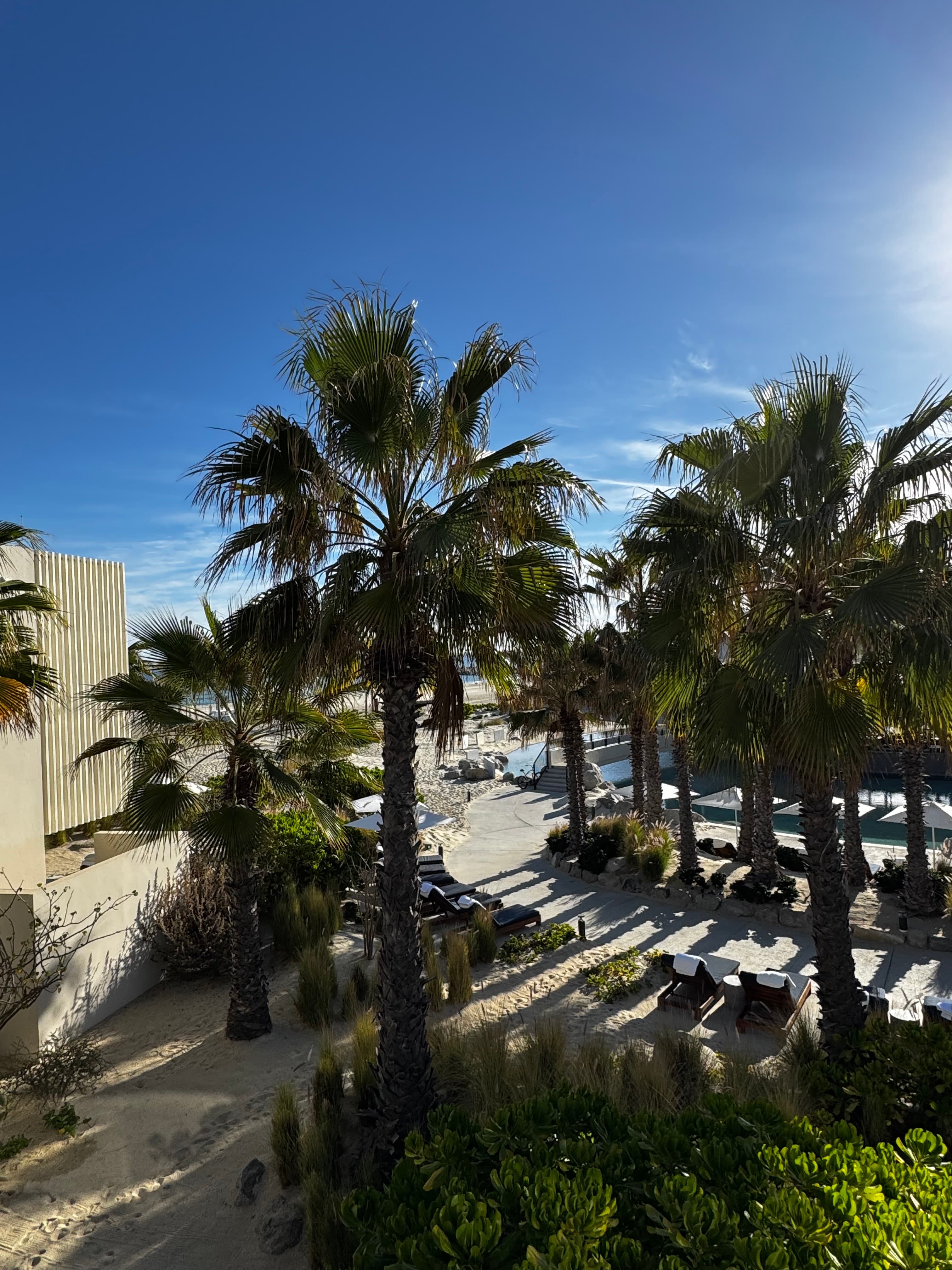 Costa Palmas Four Seasons curated by Vanessa Cella