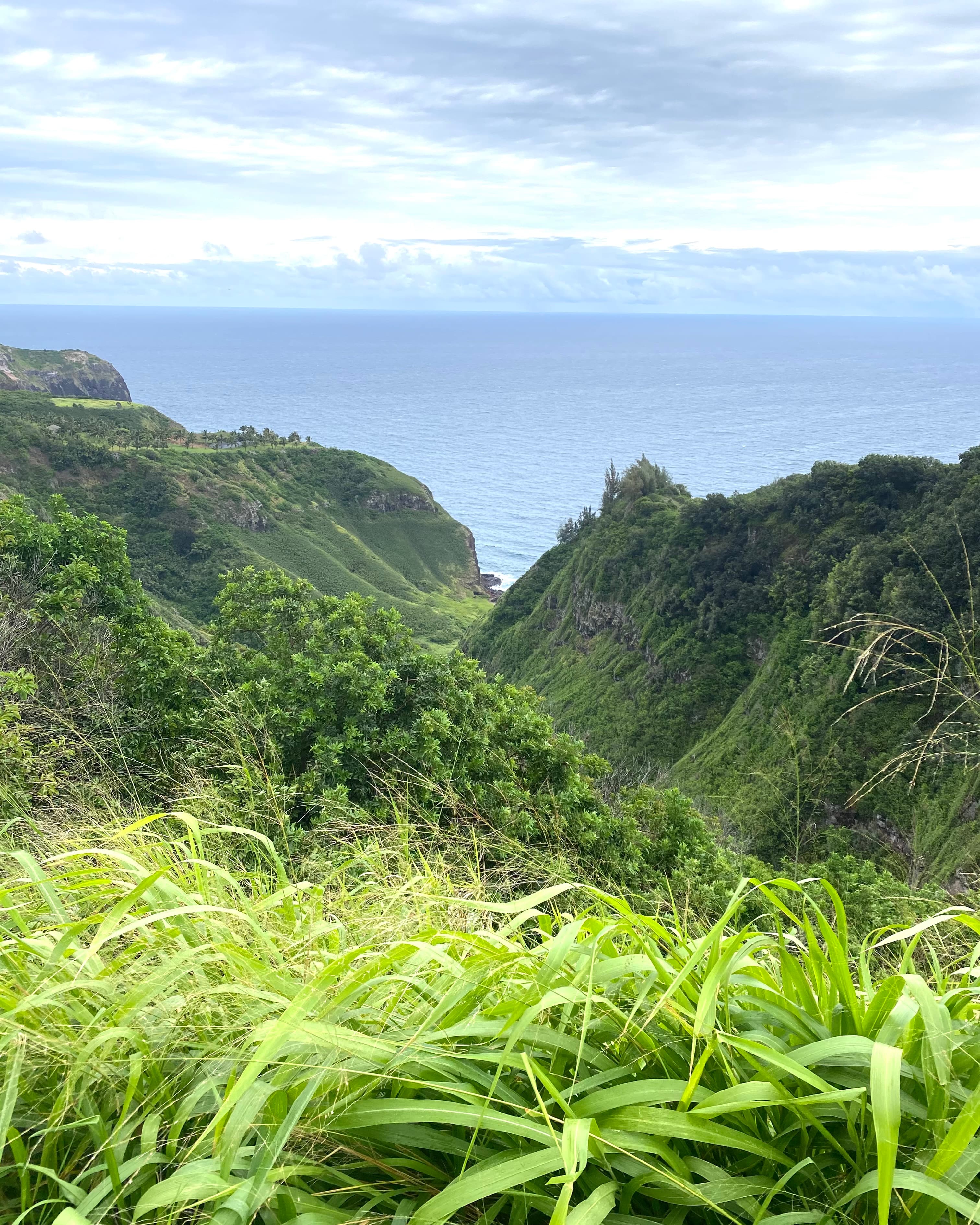 Mai Tais & Mile High Views: A Maui State of Mind curated by Brittany Wallace