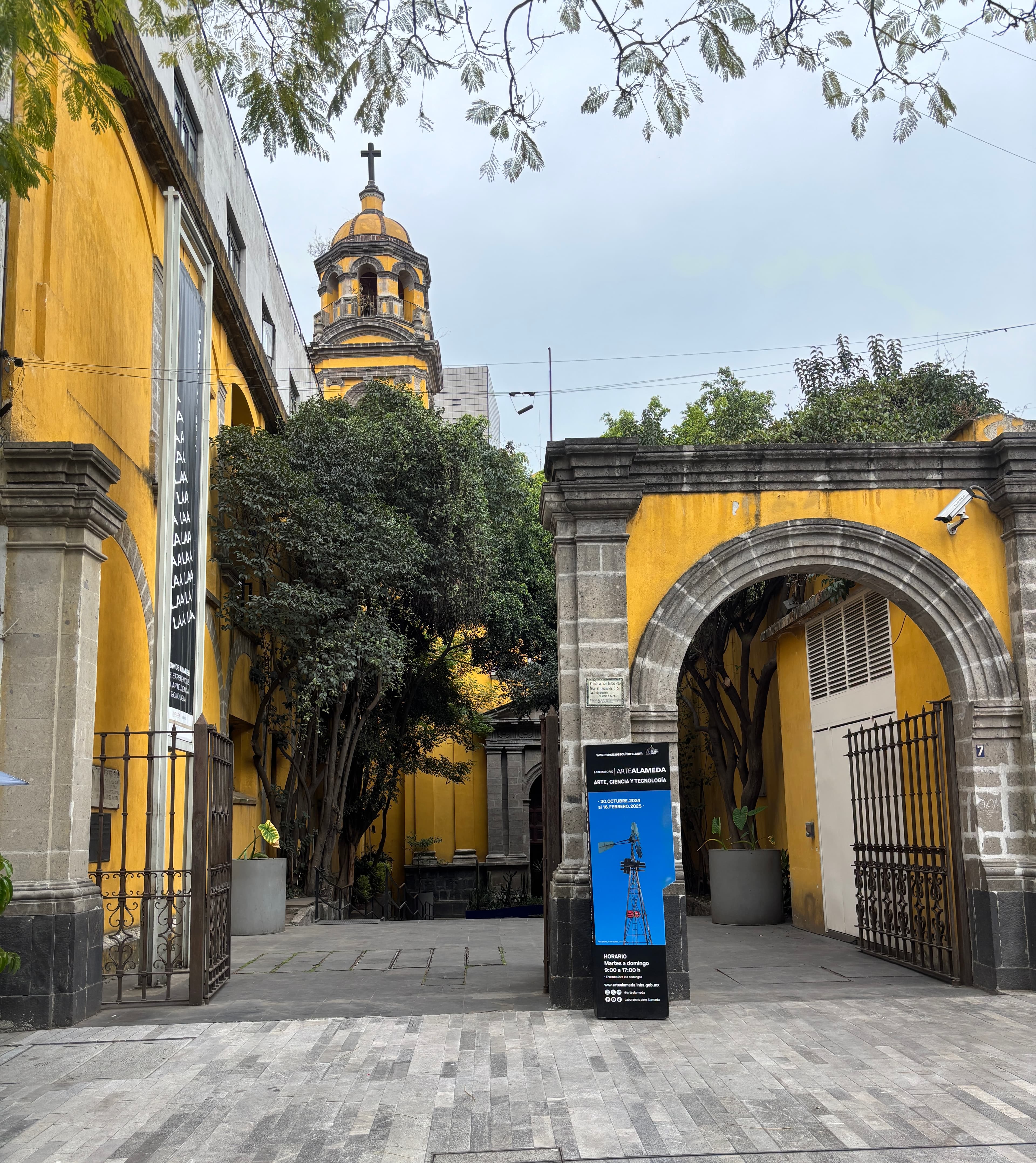 5 Days in Mexico City curated by Nadia Schwartz