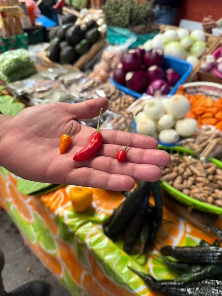 Feast for the Senses in San Miguel de Allende: A Four-Day Foodie Itinerary curated by Jane Henzerling