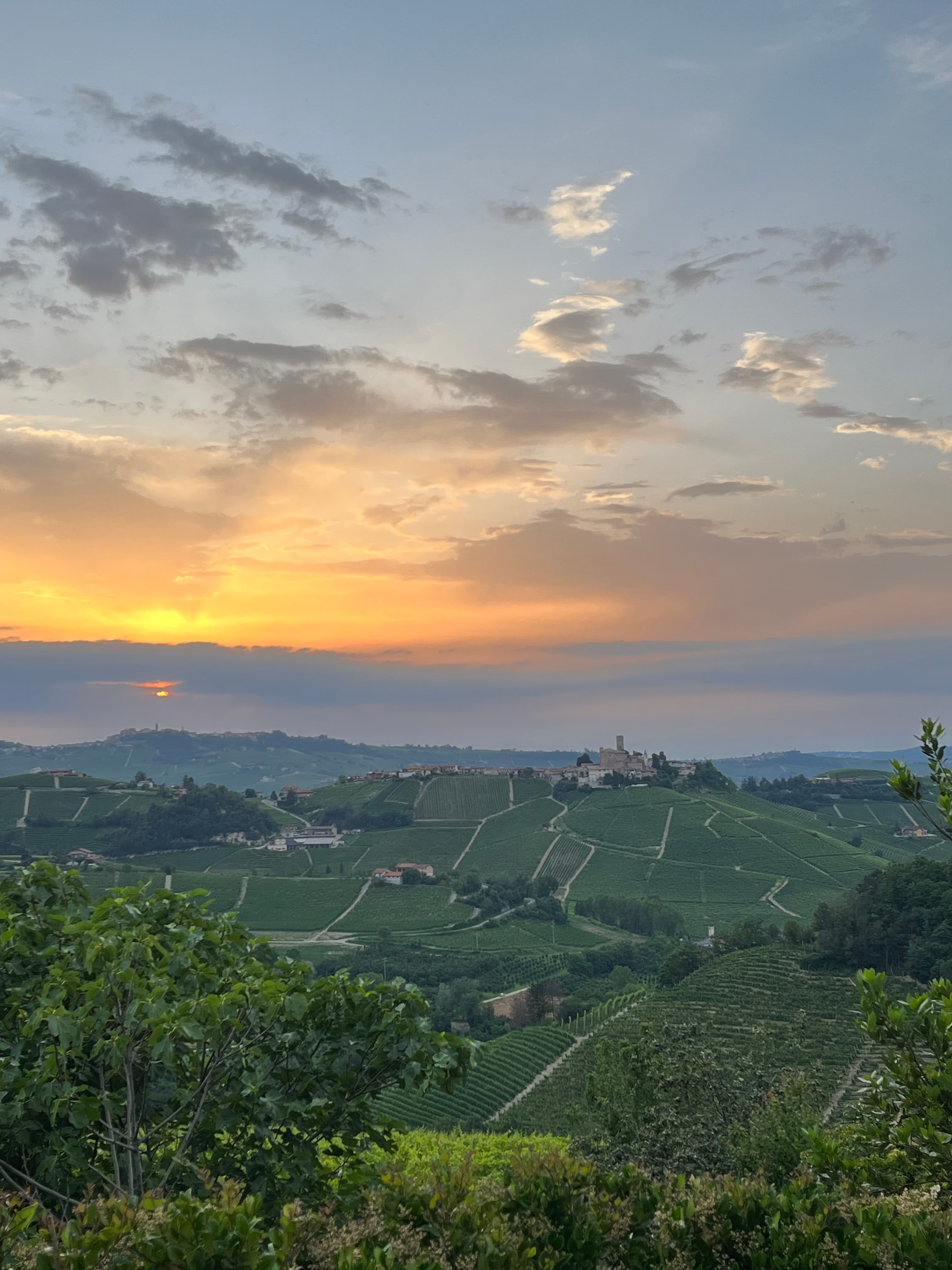 Family-Friendly Wine Tasting in Barolo: A Guide to Piedmont with Kids curated by Kirsti Harley