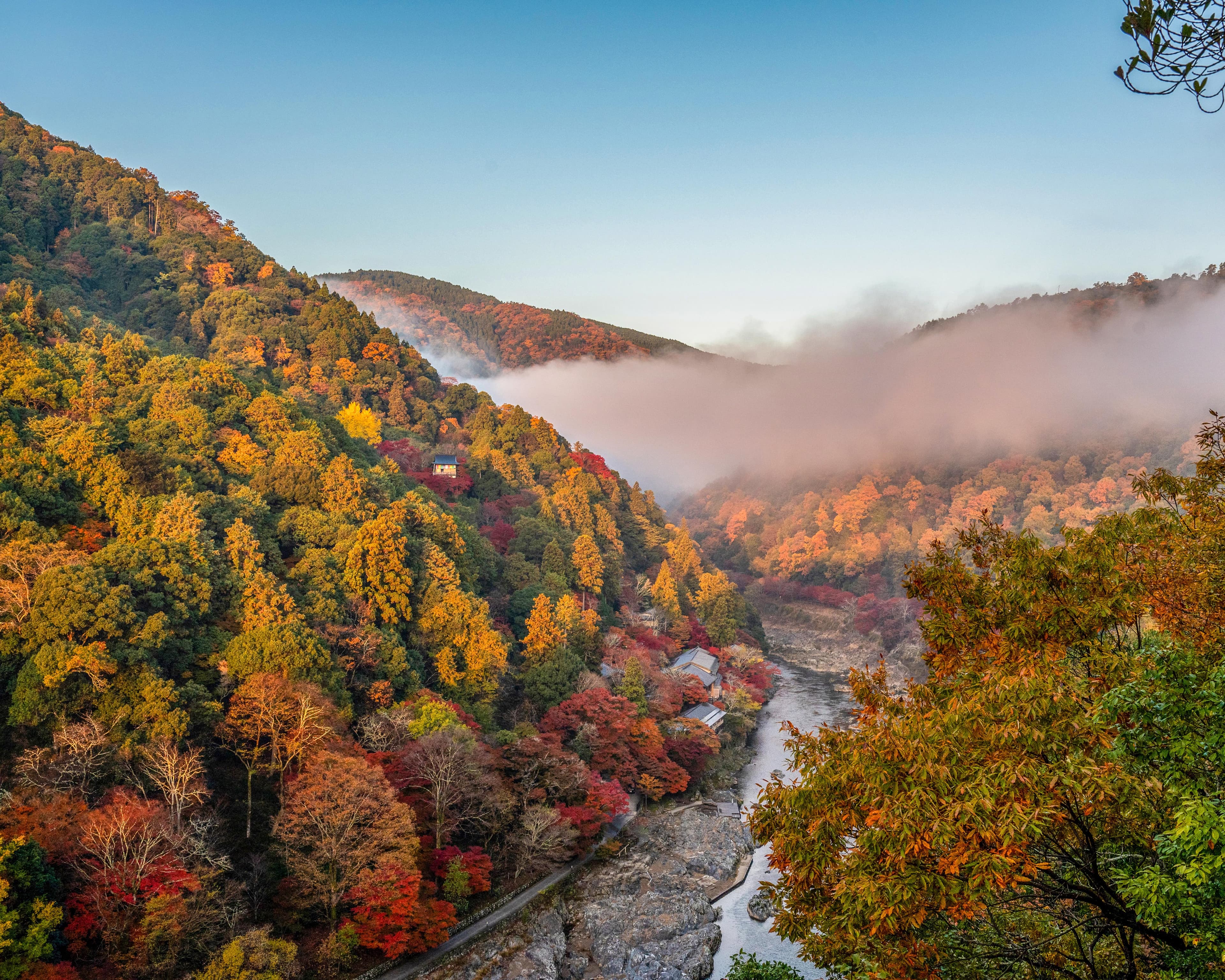 A Guide to Autumn in Japan: Tokyo & Kyoto curated by Nicole Freedman