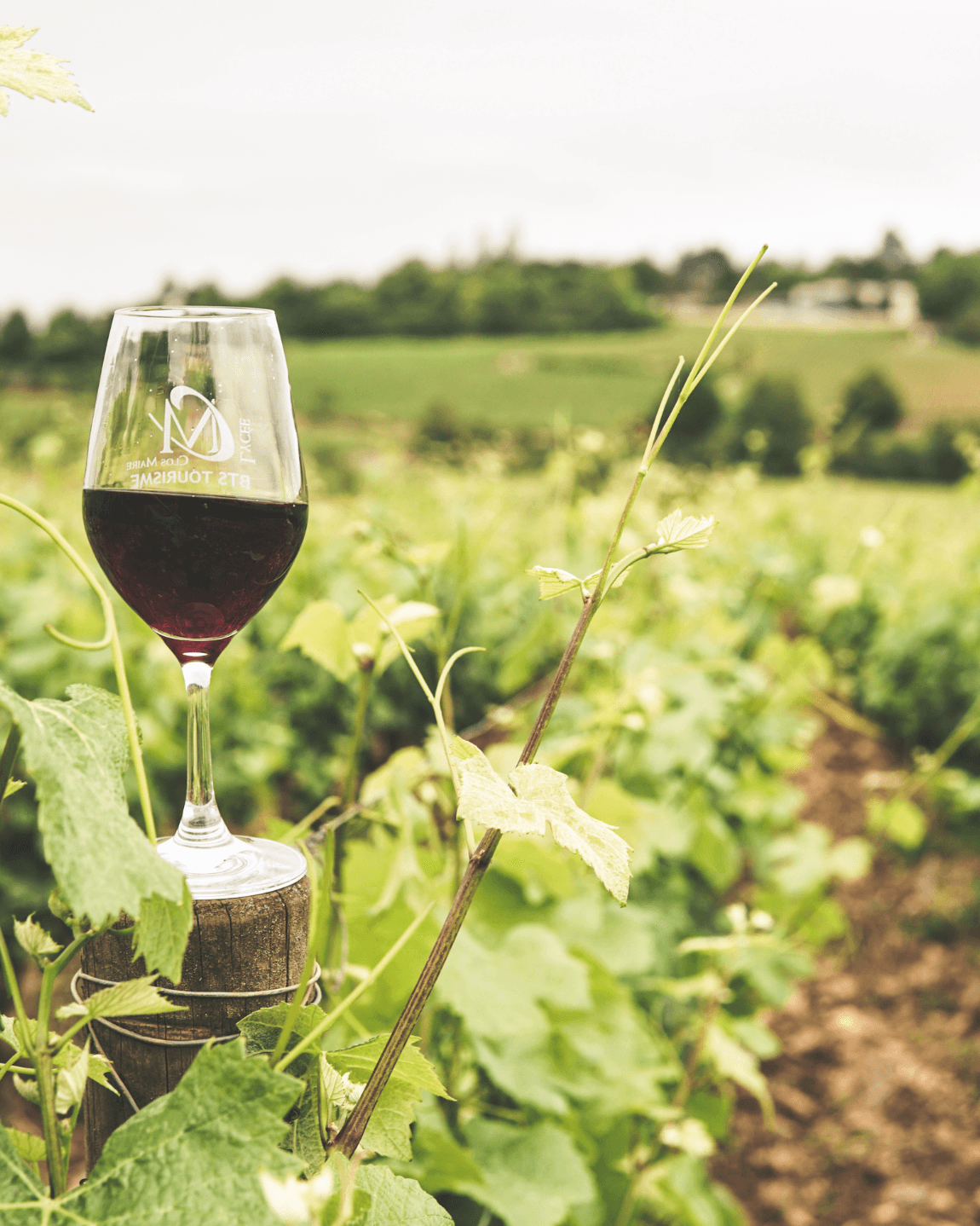 Uncorking Portugal: An Exclusive 10-Day Journey through Portugal's Wine Regions curated by Becca Santos