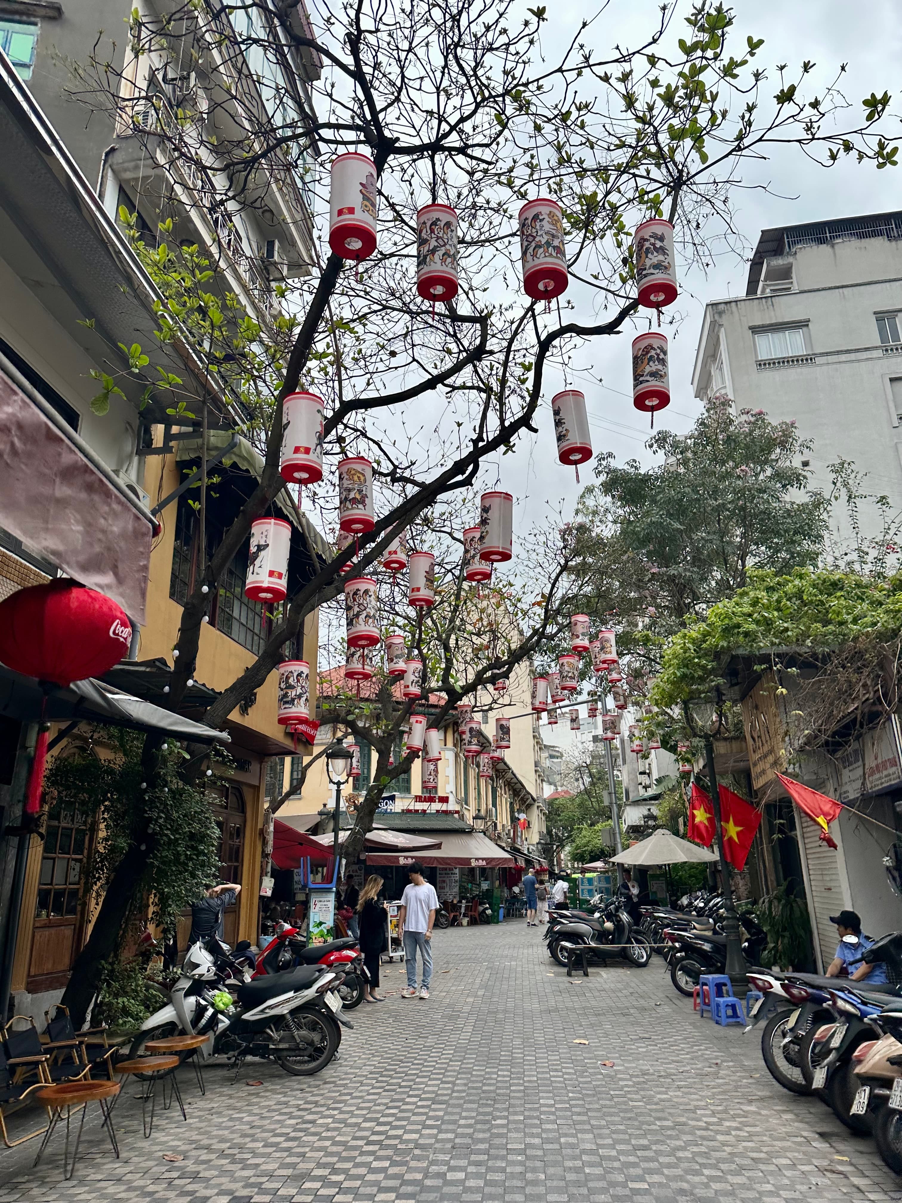 10 Days in Vietnam: North to South curated by Sydney Alepa