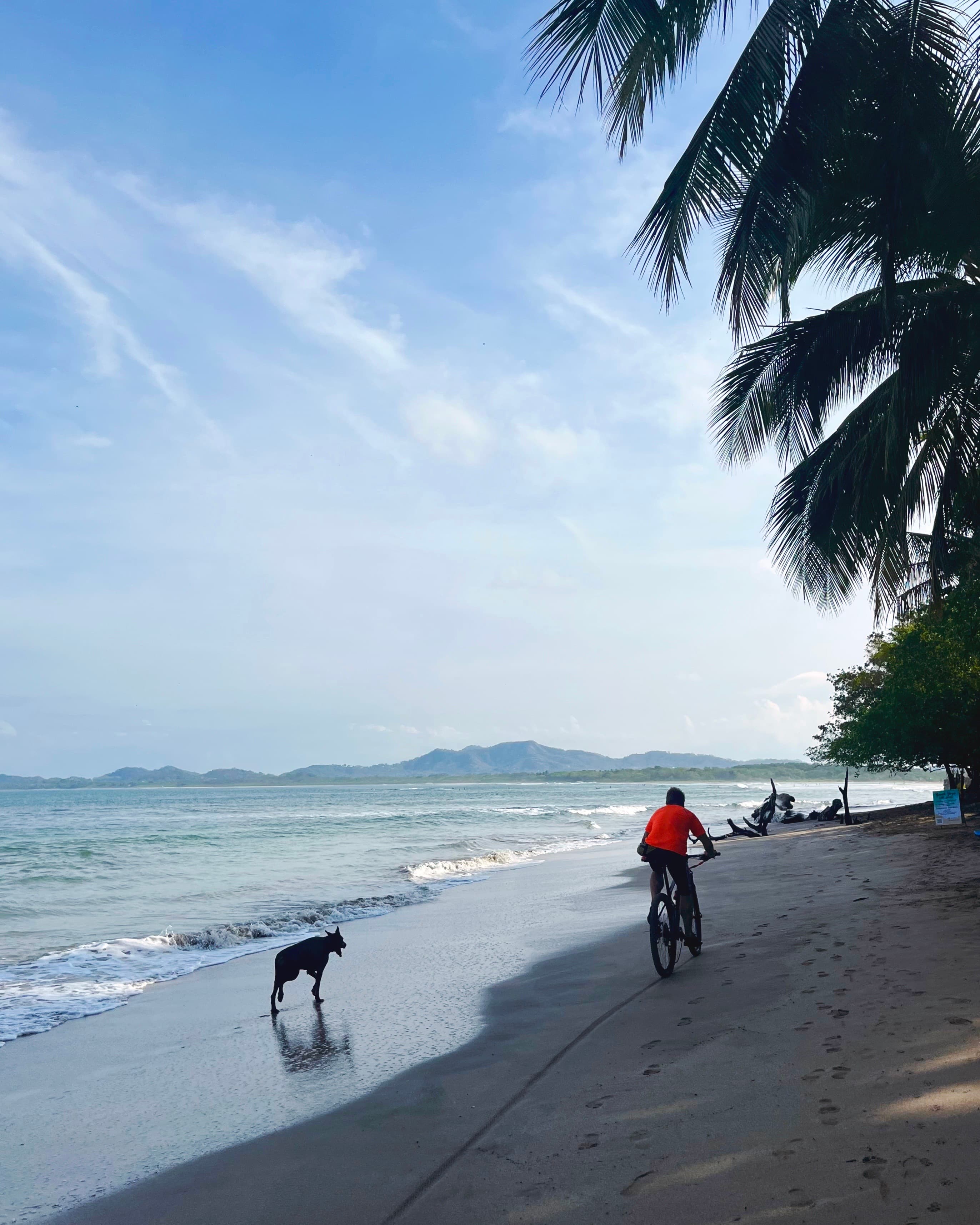 Tamarindo, Costa Rica: A Guide to the Beach Town of Guanacaste curated by Tracy Delossantos