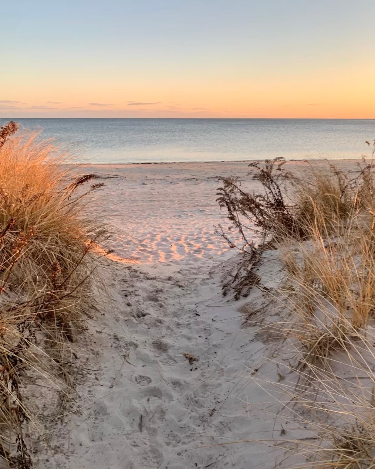 Summer Vacation Guide to Cape Cod, Nantucket, & Martha's Vineyard curated by Rod Carrillo-Lundgren