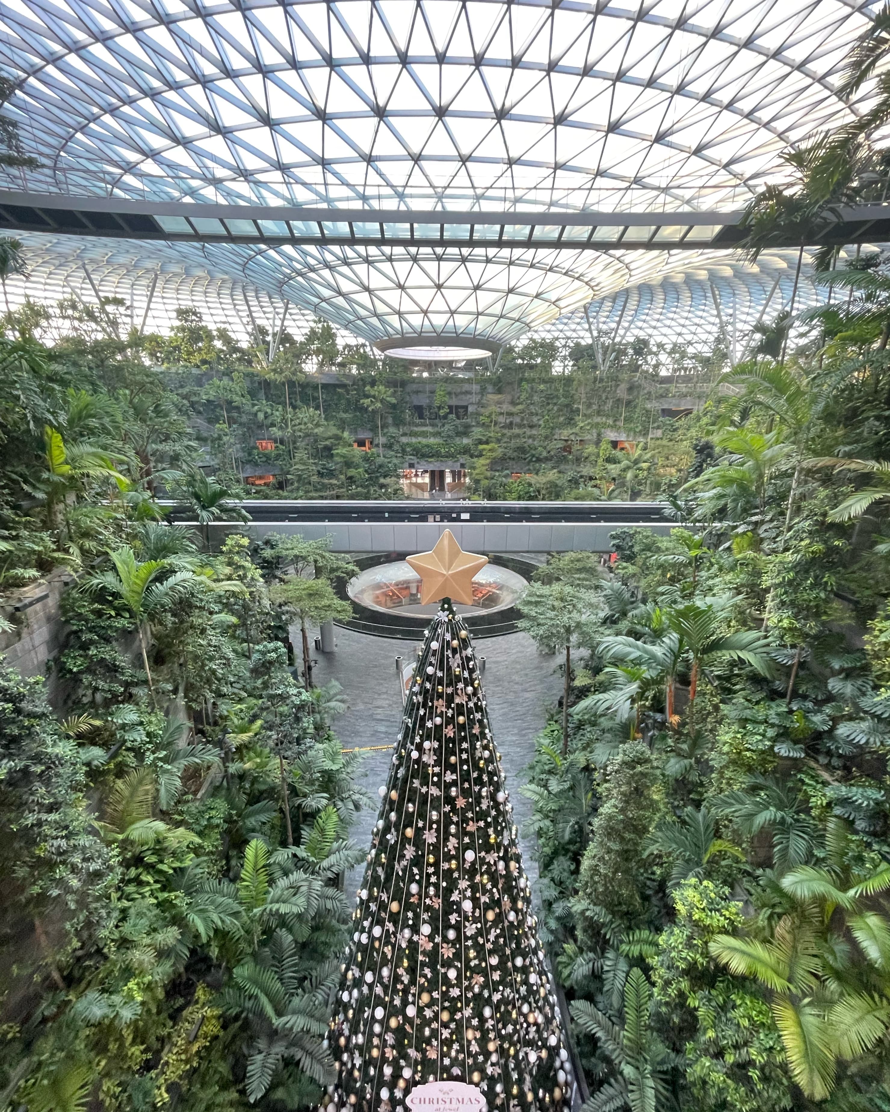 A Quick 24 Hours in Singapore curated by Reagan Keller