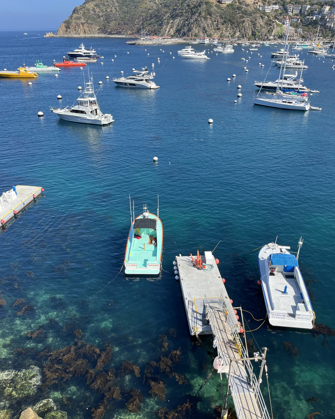 A Catalina Island Getaway curated by Lucas Mittenentzwei