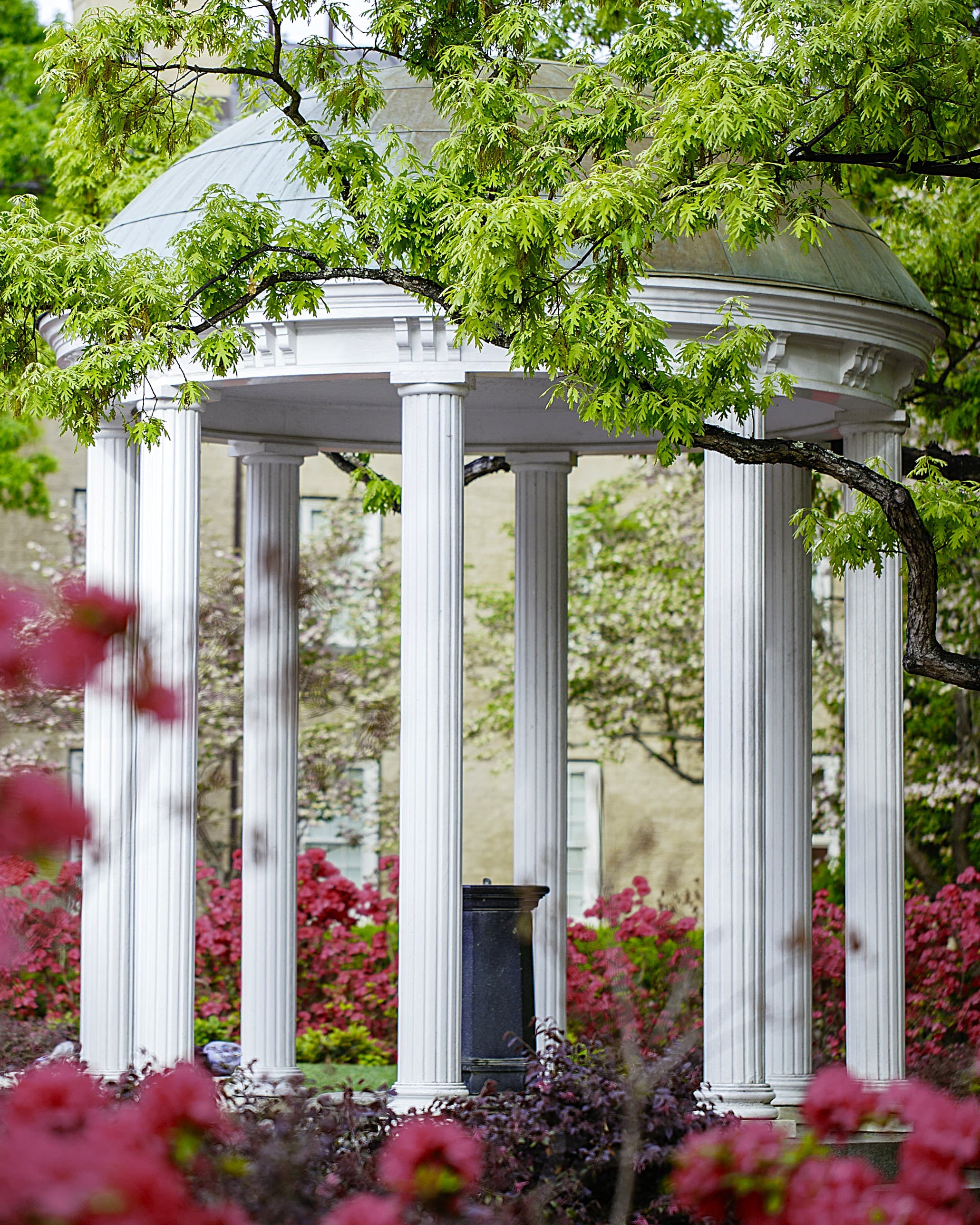 Chapel Hill: A Little Town with a Big Personality (and Yes, I’m Biased) curated by Seasen Acevedo-Zullo