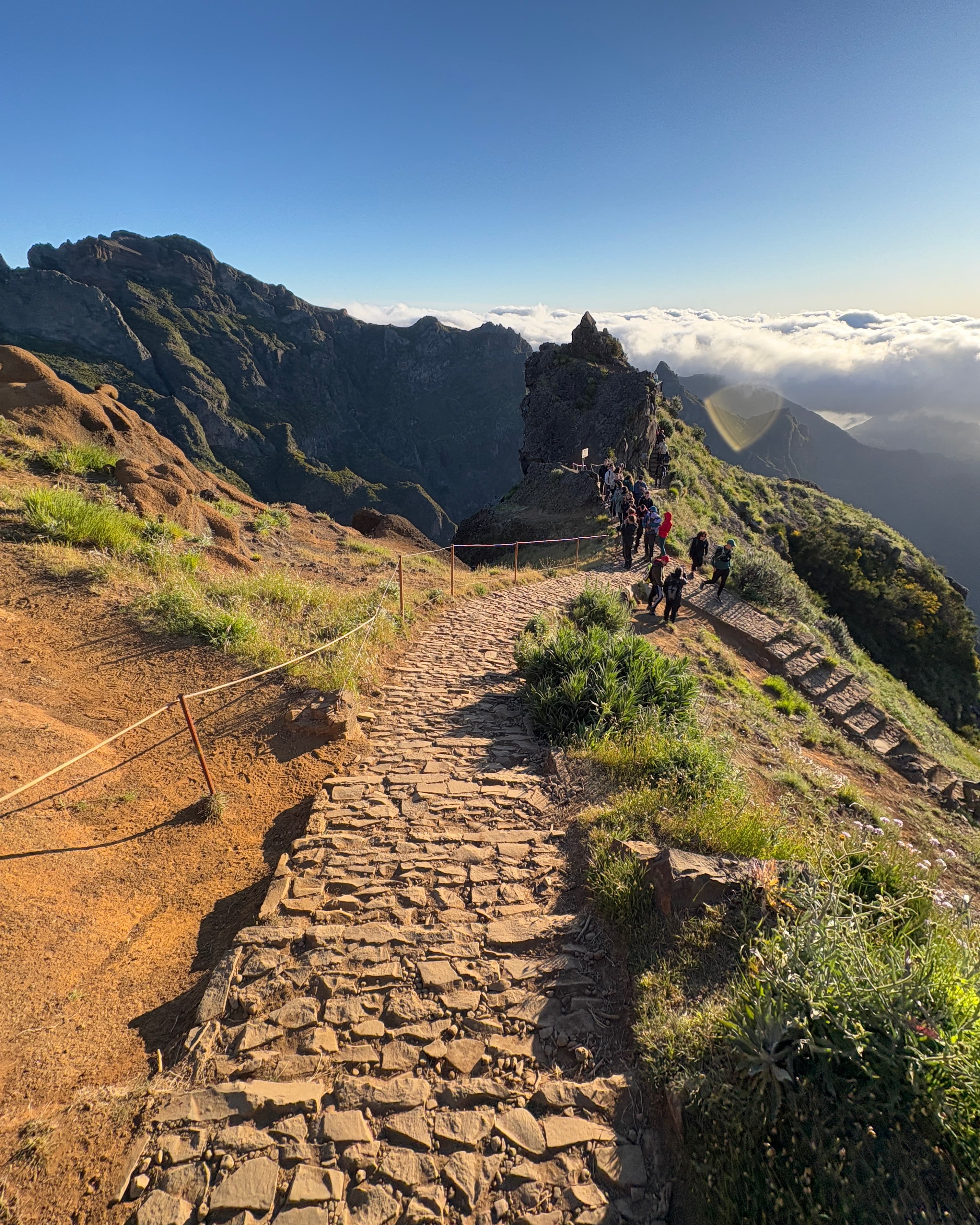 Madeira Island Must Do's curated by Reagan Keller