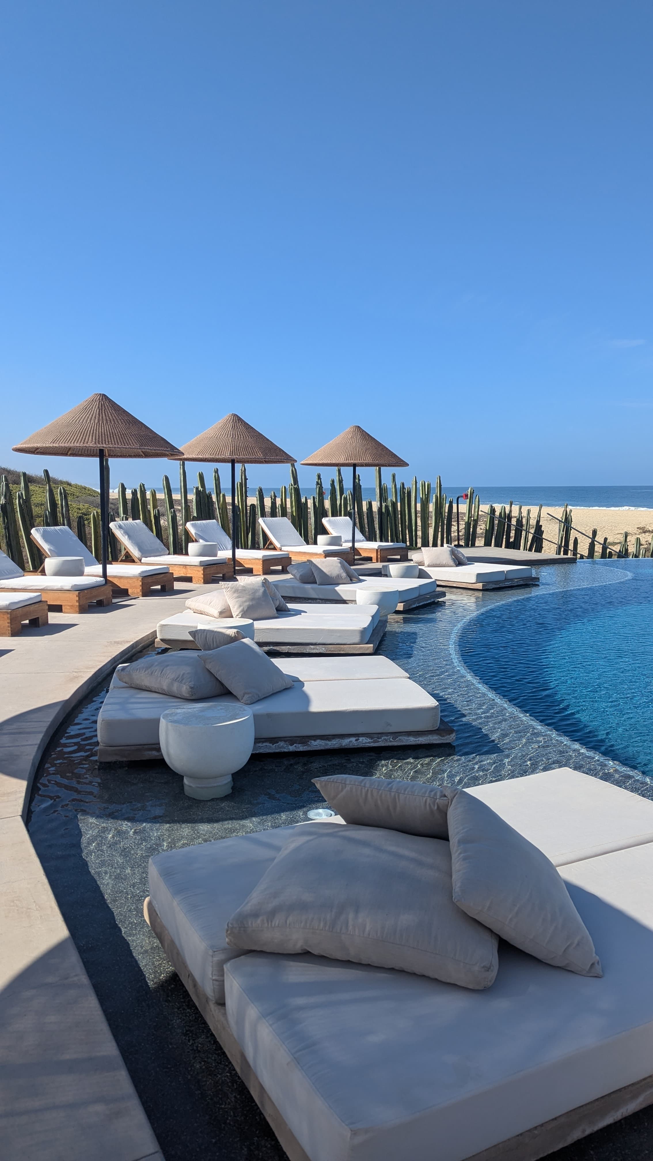 Why Kimpton Mas Olas was the Perfect Todos Santos Getaway curated by Hannah Breckner