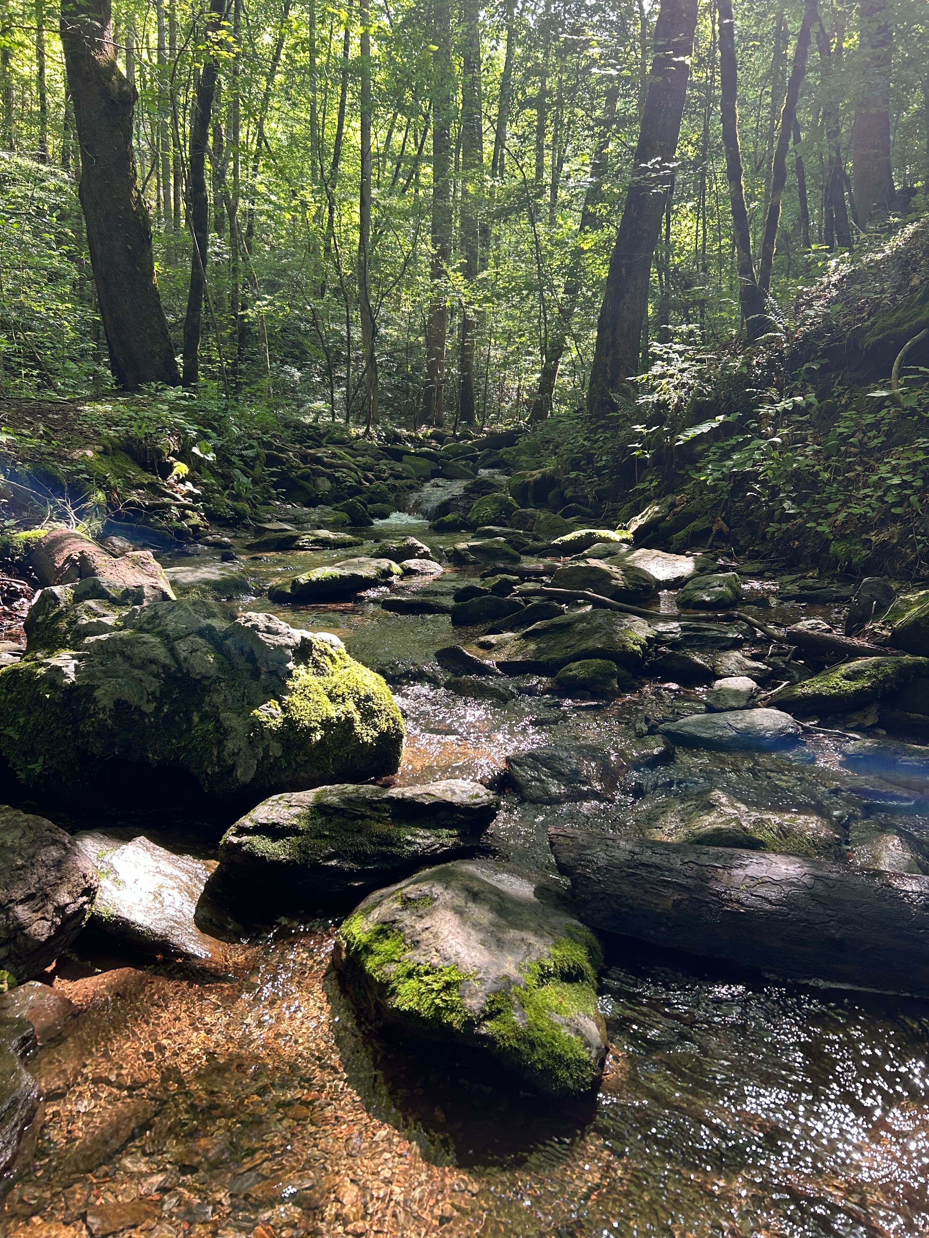 Short, Uncomplicated Cycling Adventures In & Near the Great Smoky Mountains National Park curated by Katherine Peet