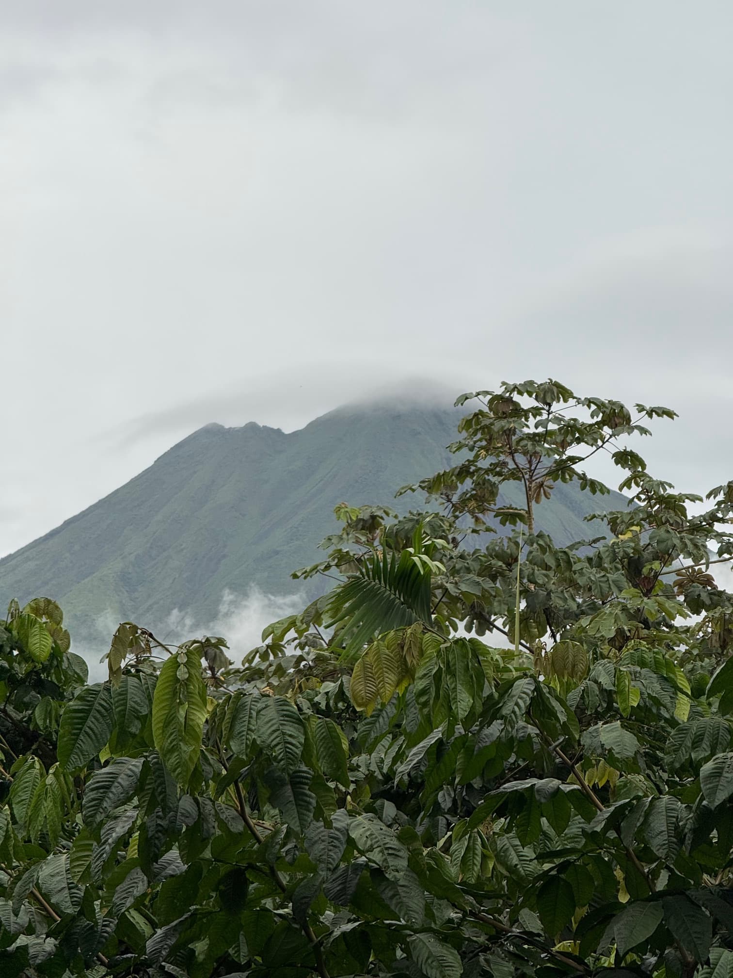 Your Guide to Exploring the Best of Costa Rica curated by Cindy Rhee