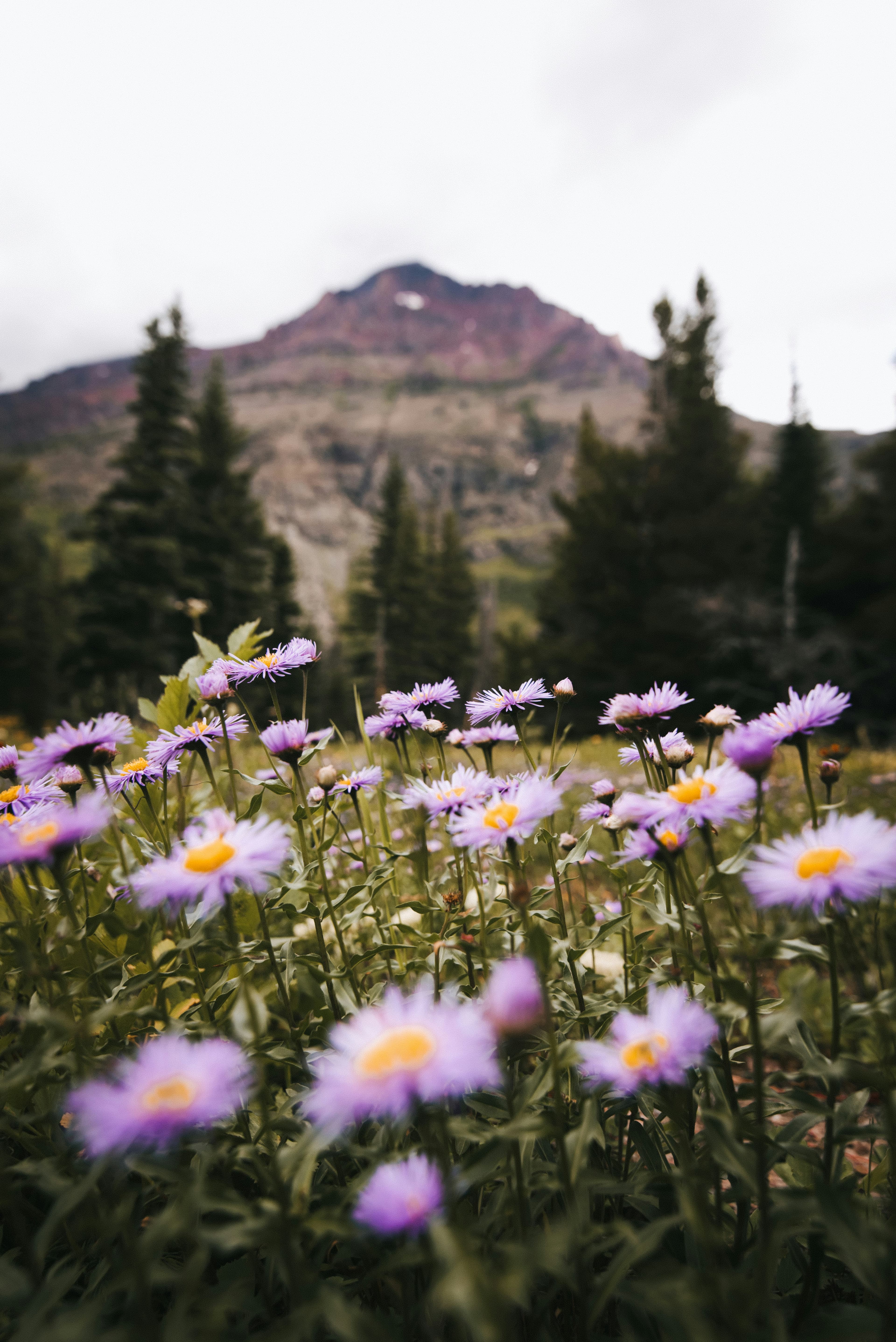 Why Bozeman Belongs on Your Bucket List: Hikes, Views & Local Eats curated by Megan Carter