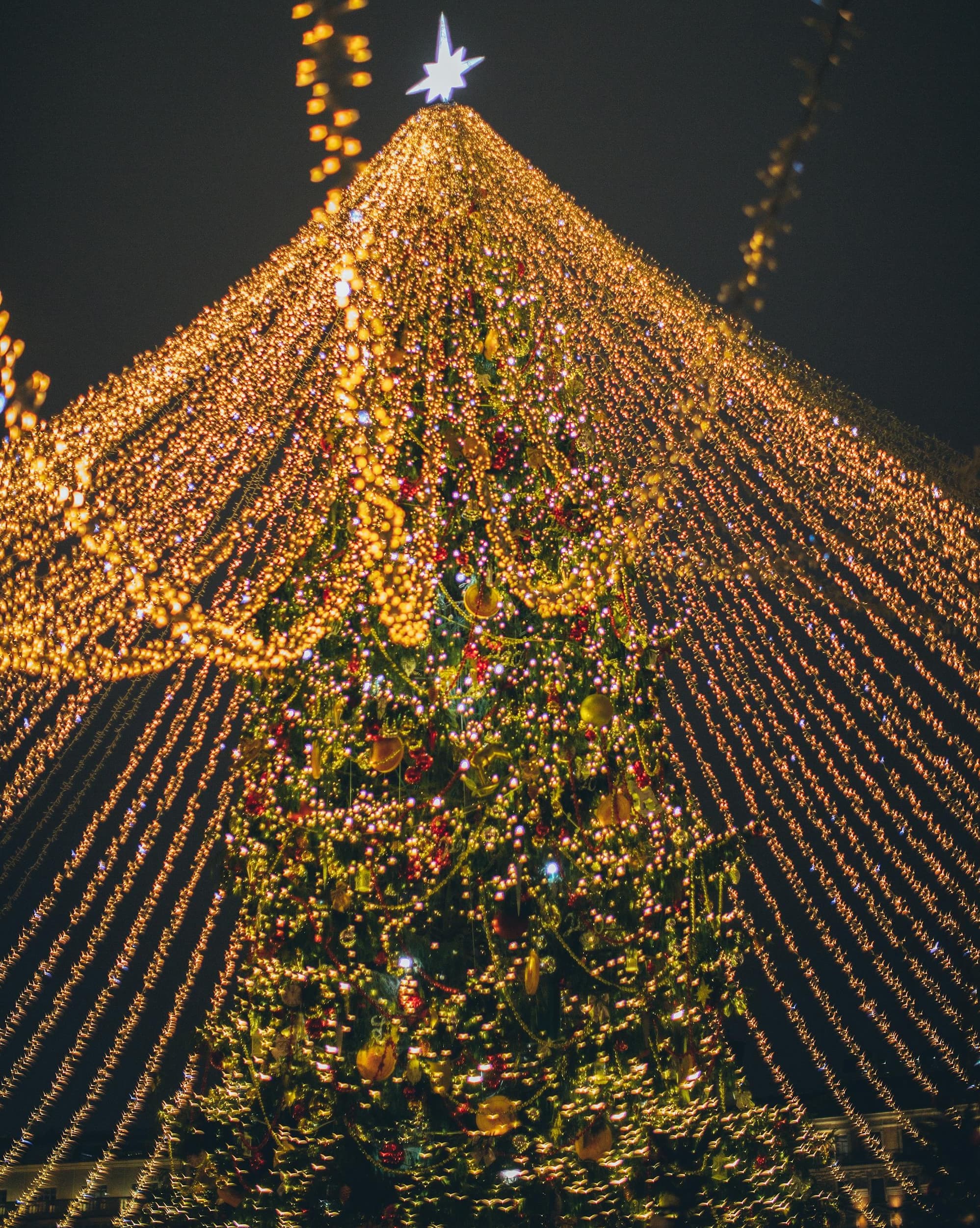 A Very European 9-Day Christmas Market Adventure curated by John Gipson