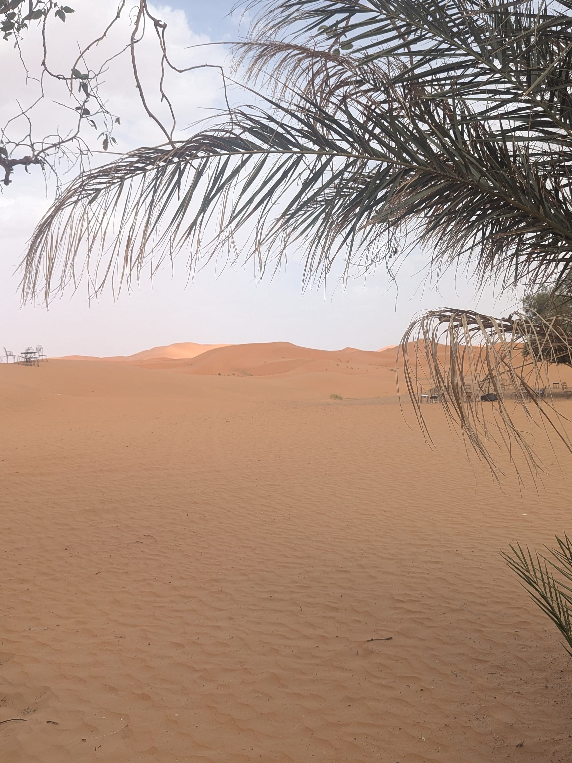 An Incredible Experience Traveling Through the Sahara Desert in Morocco curated by Holly Huff